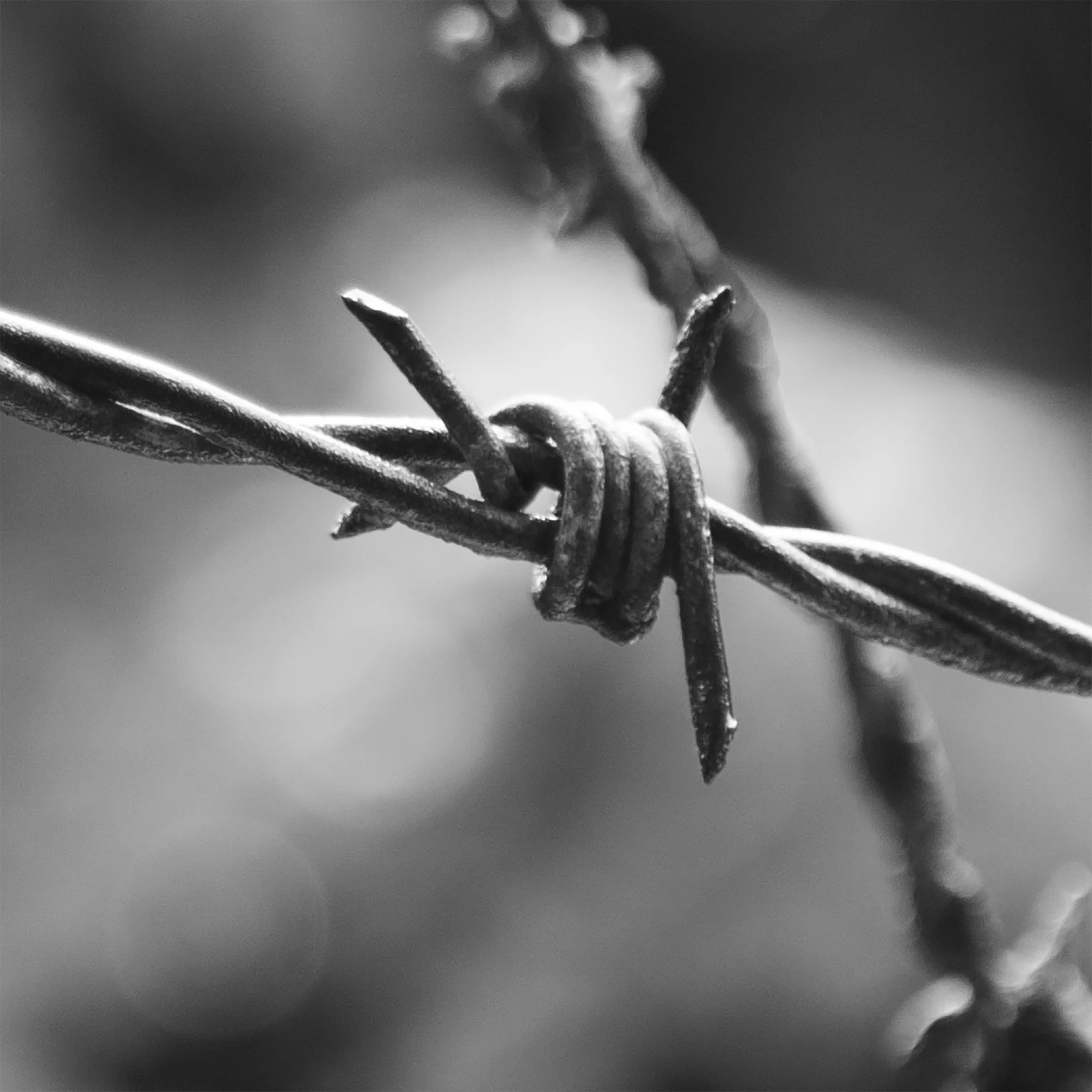 Unfinished Movement [Barbed Wire 2] 2022