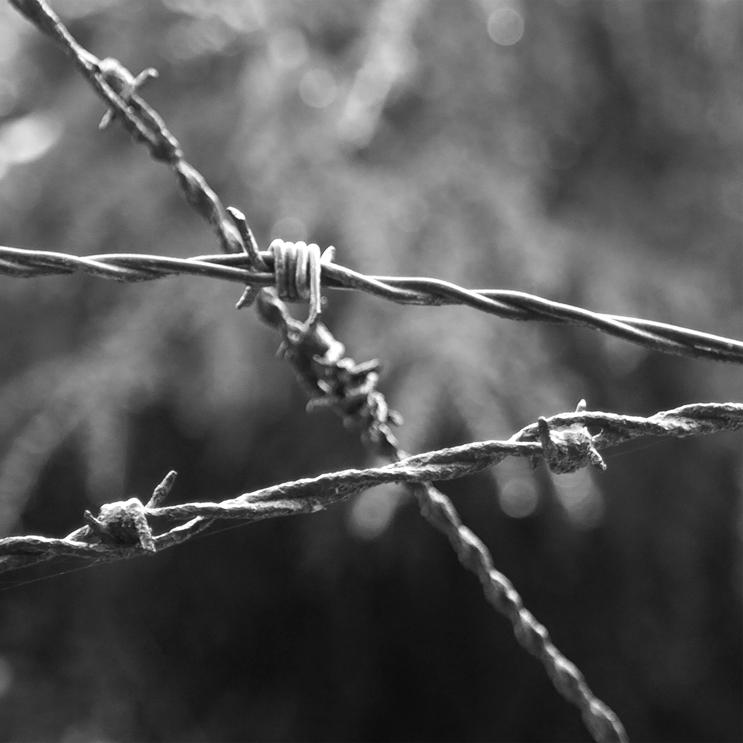 Unfinished Movement [Barbed Wire 3] 2022