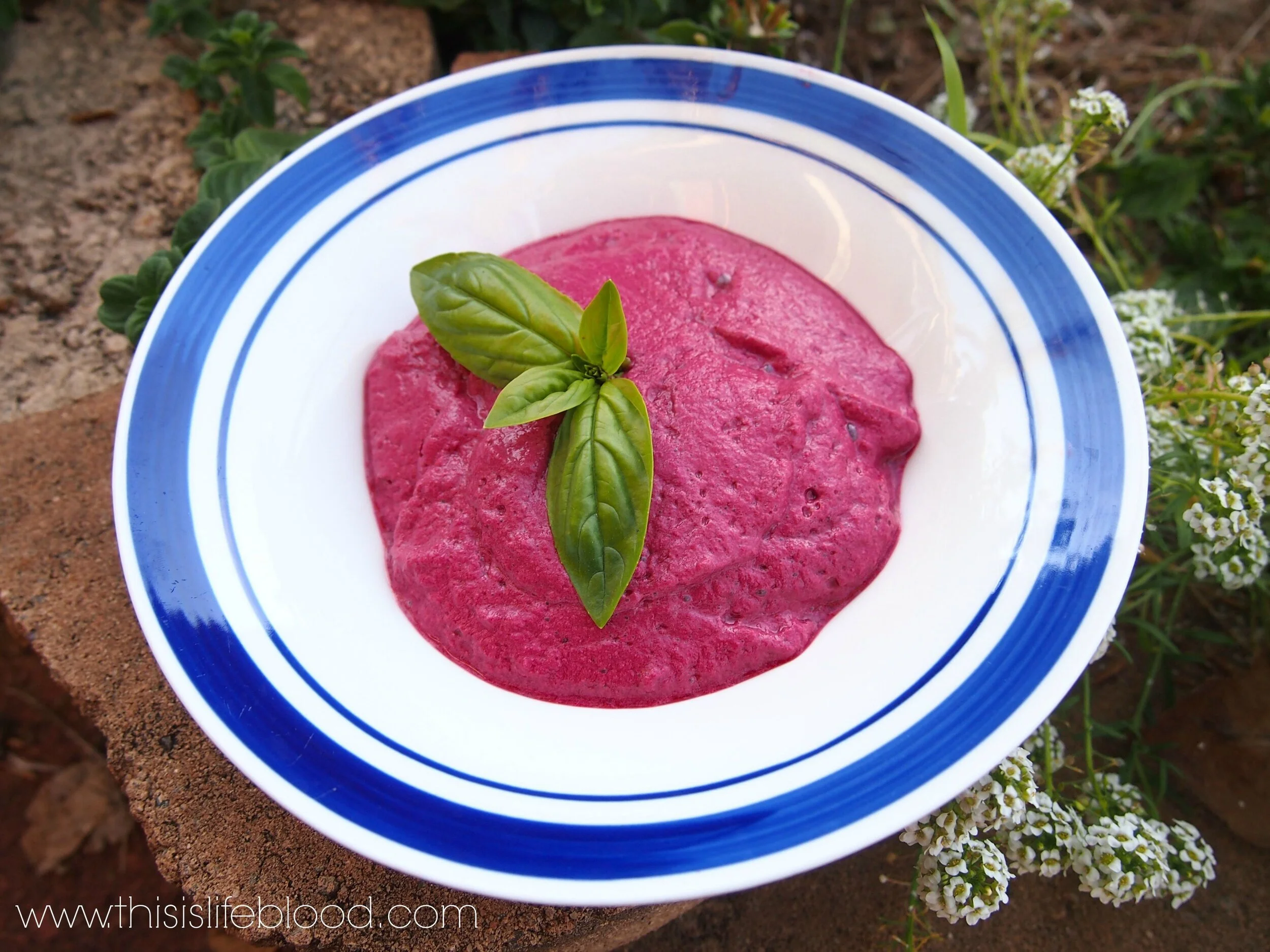 Crown Chakra Beetroot Dip