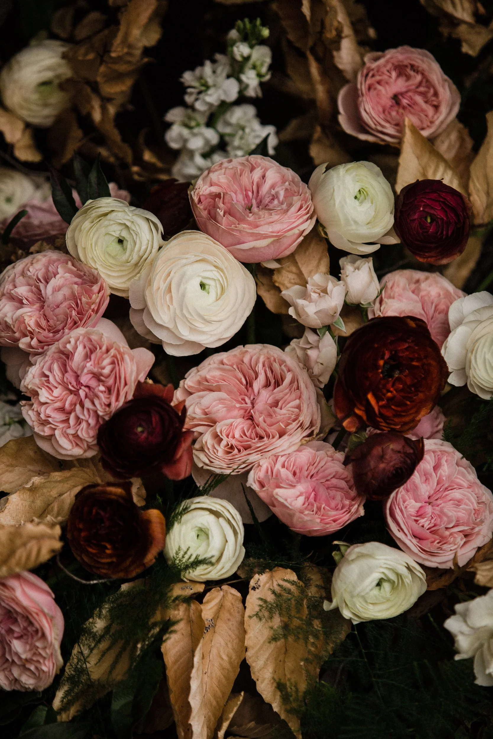 flower%20still%20life%202023-15.jpg