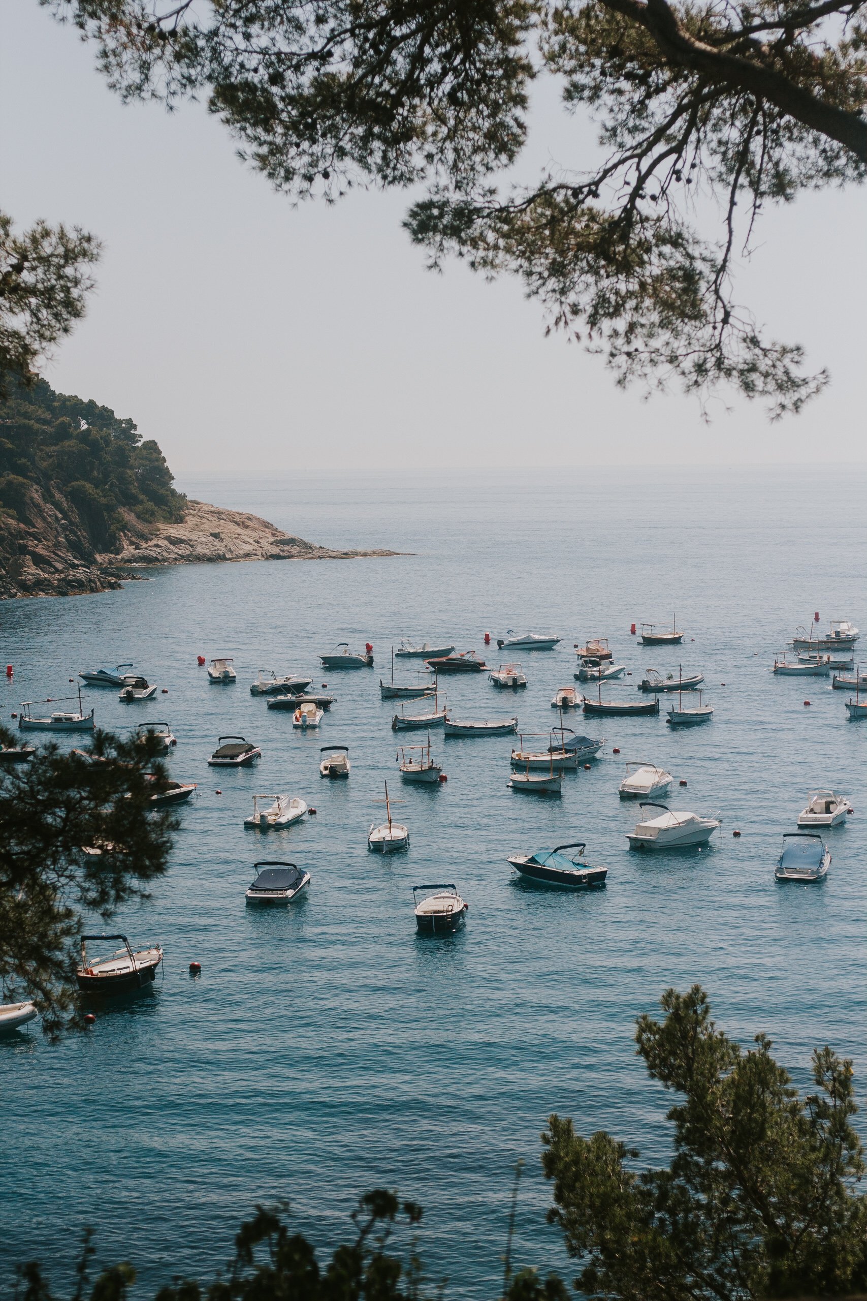 Calm sea with multiple boats anchored near a rocky shoreline, trees framing the foreground.