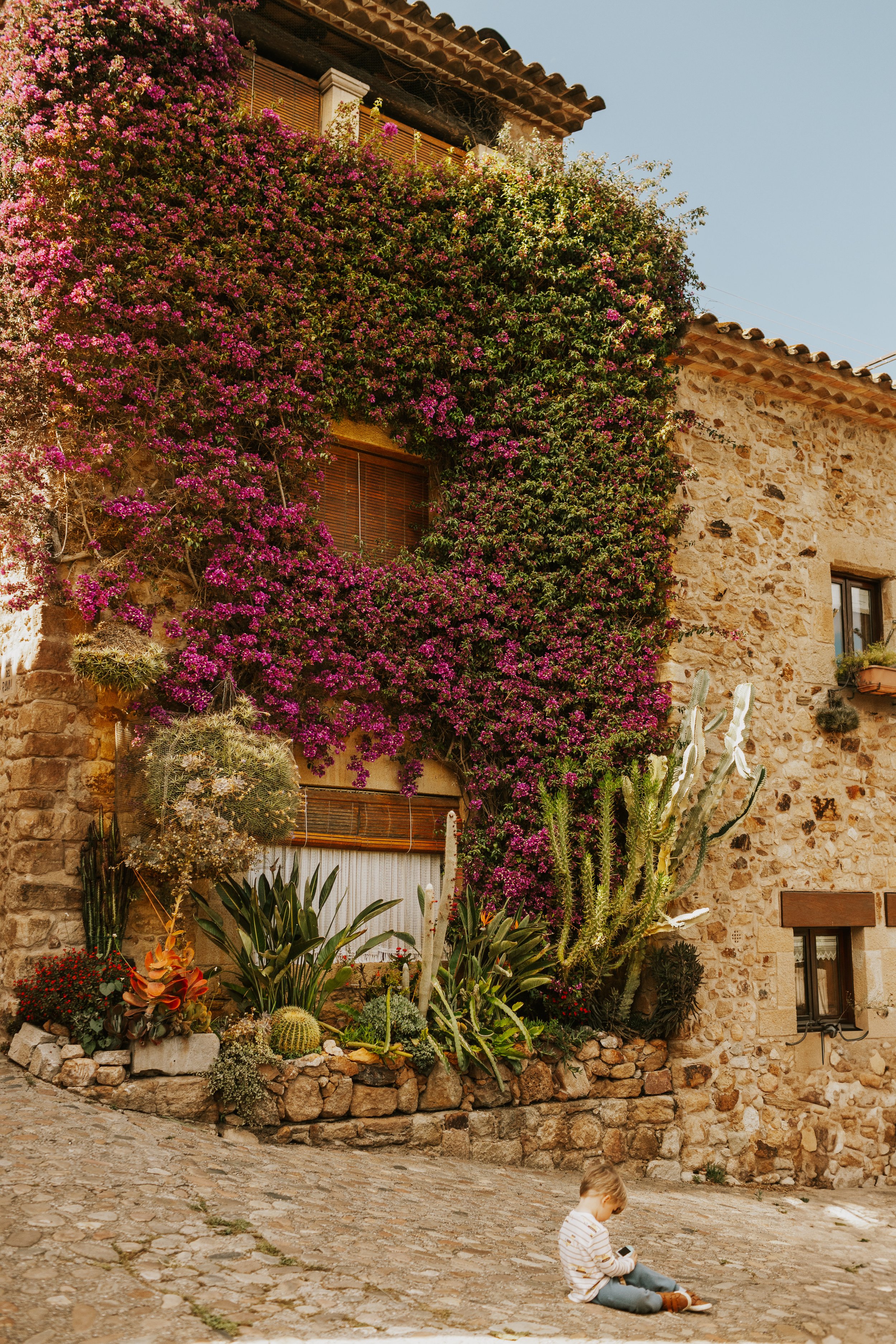 A young child sitting on a cobblestone street near a stone house with a wall covered in blooming pink and purple bougainvillaea and various succulent plants, including cacti.