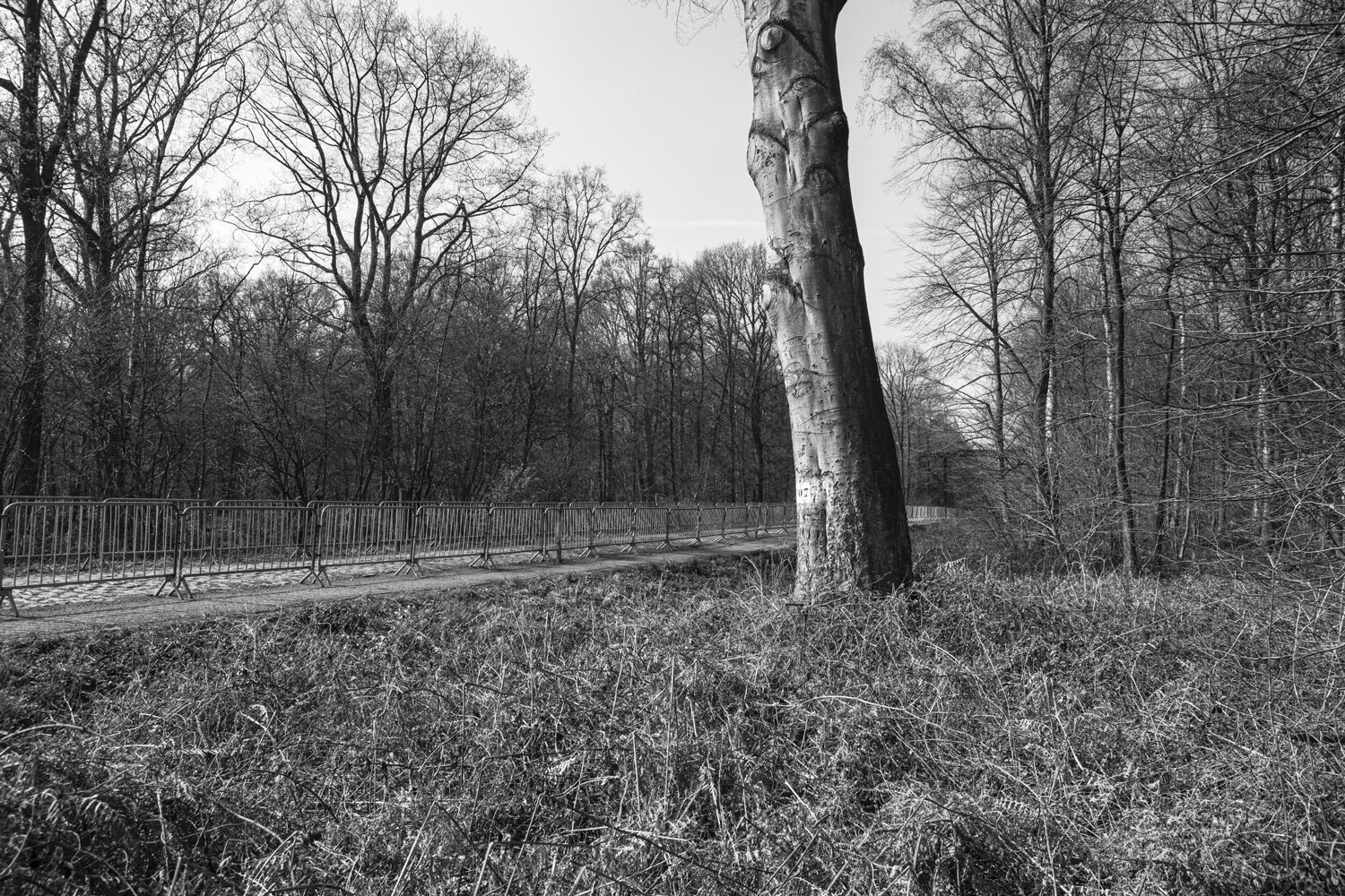 La trouée d'Arenberg