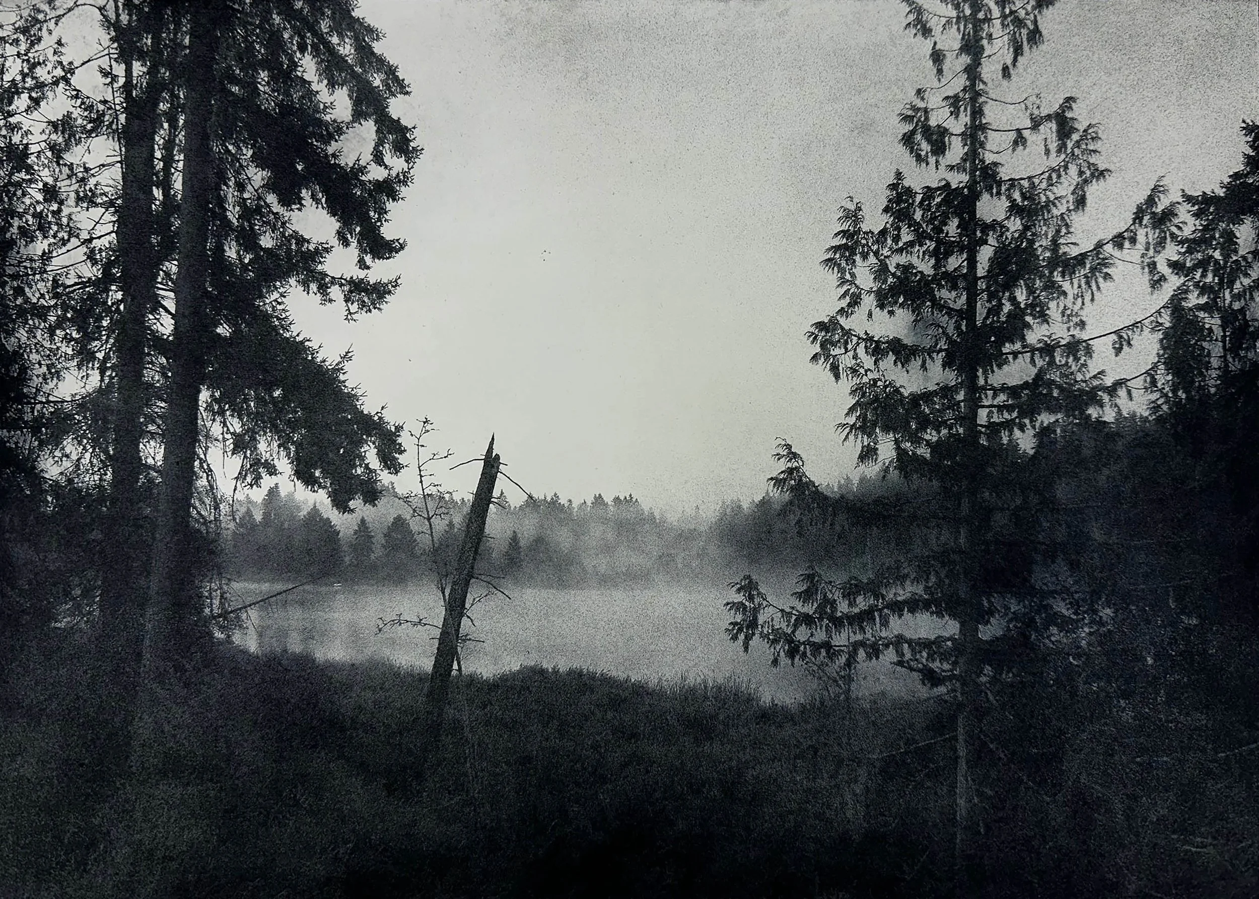 dhercun saltspring.jpeg