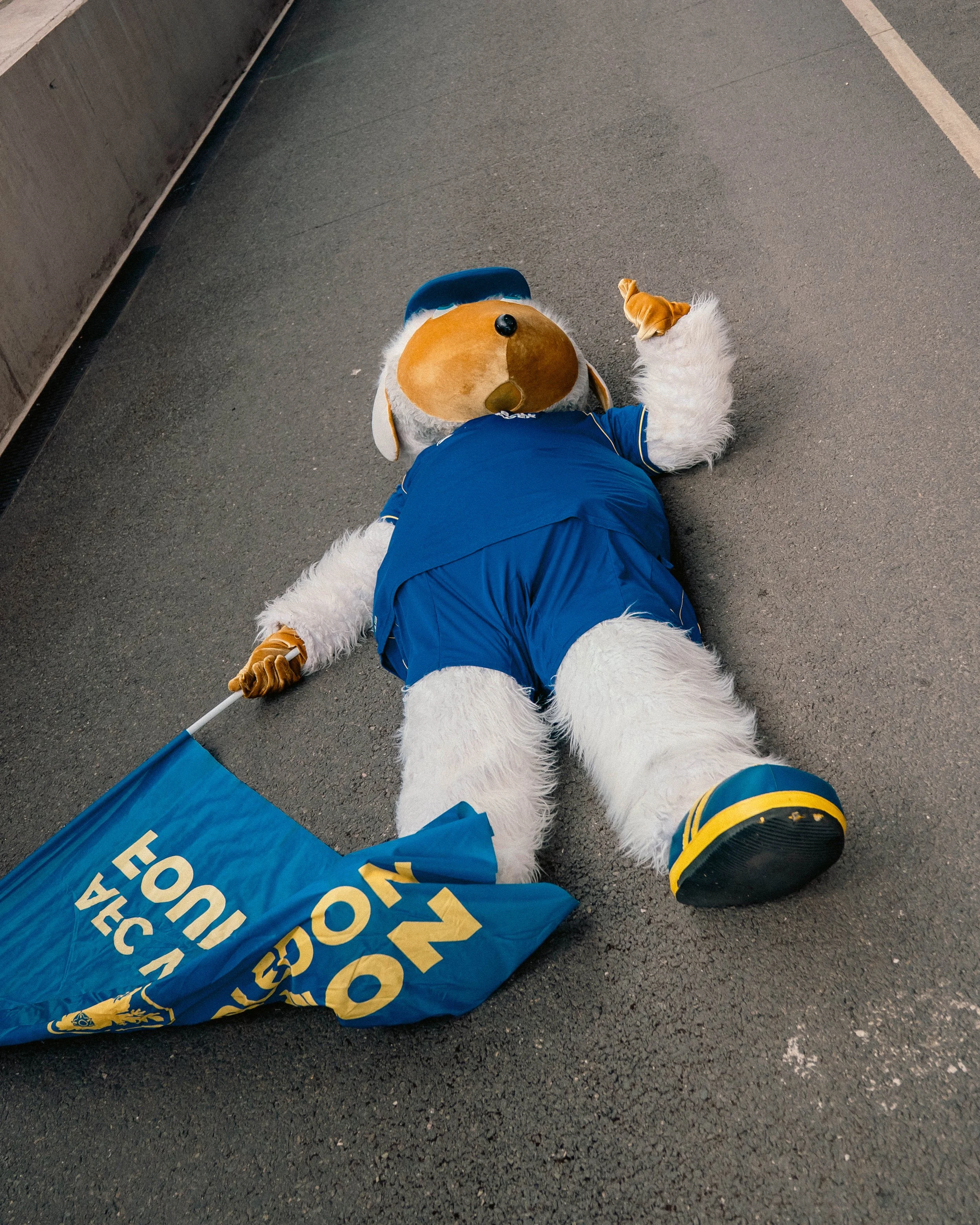 Kontenthaus_AFC_Wimbledon_Womble_Walk_DH_28JUNE26_139.JPG