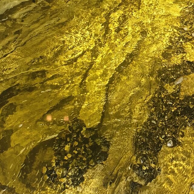 Golden water
#water #river #mountains #flow #deep #diving #summer #stones #golden