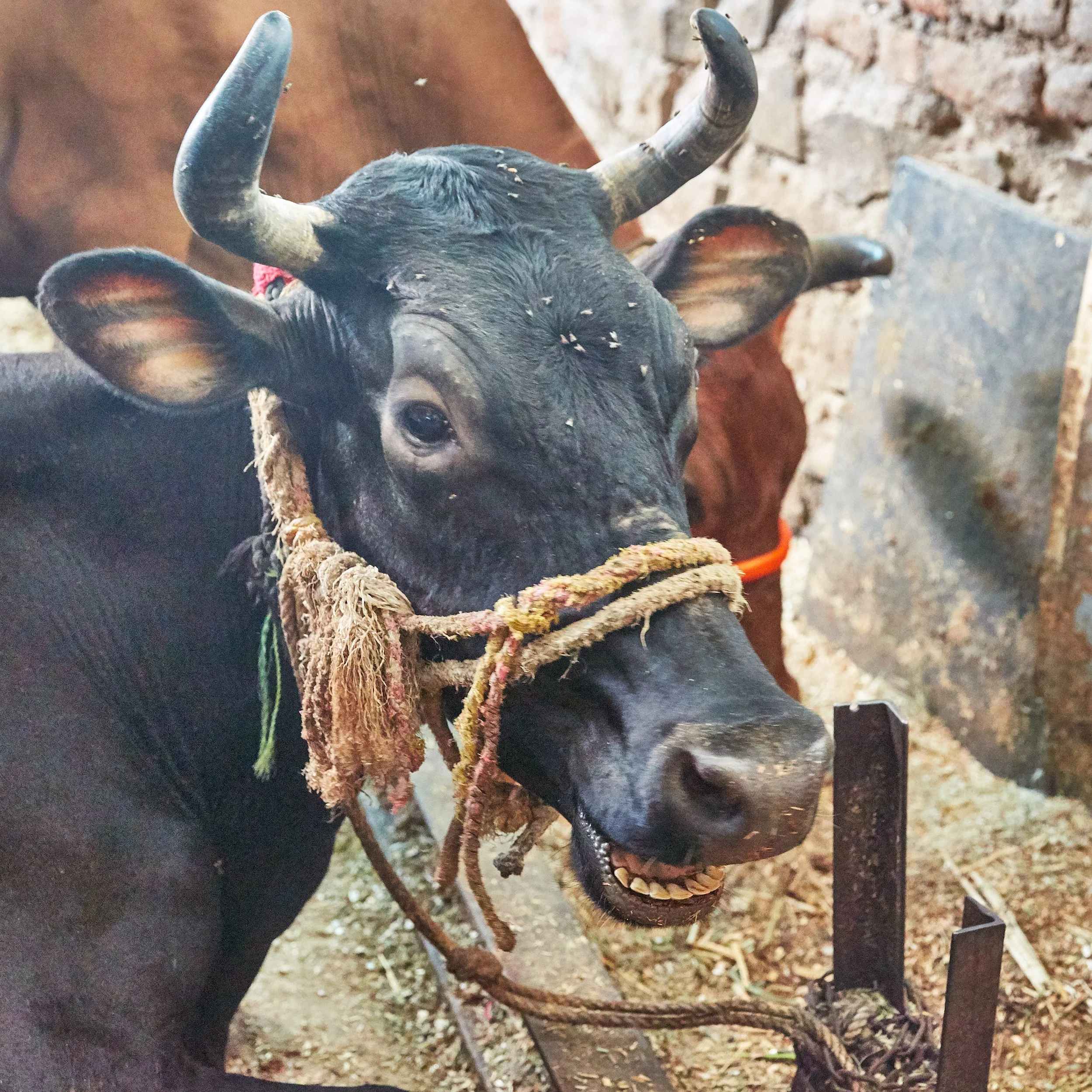 Sabine_Mader_5. 56.jpg