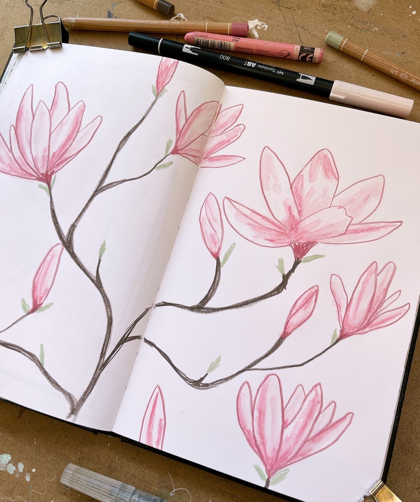 A page full of flowers, drawn from this week&rsquo;s #JoyJenPatreon reference images of the beautiful magnolia tree that&rsquo;s currently blooming in my back garden 🌸 

If you&rsquo;d like to have a go at drawing these beautiful flowers too then yo