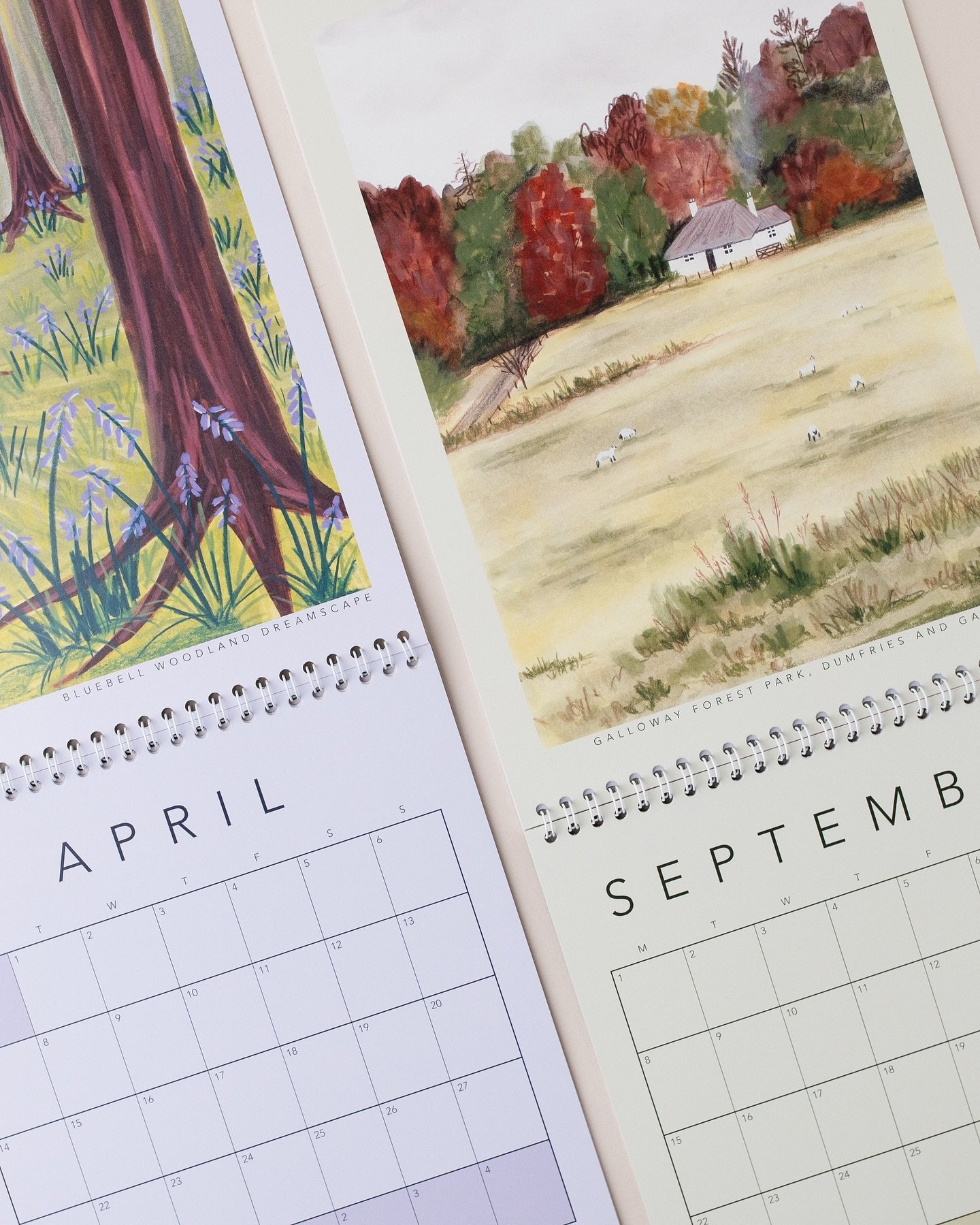 The 2025 British Countryside Calendars are in stock now!

Thanks again to those of you who pre-ordered - so helpful for managing stock levels ❤️

I don&rsquo;t have loads available, and I don&rsquo;t think I&rsquo;ll be doing another print run so do 