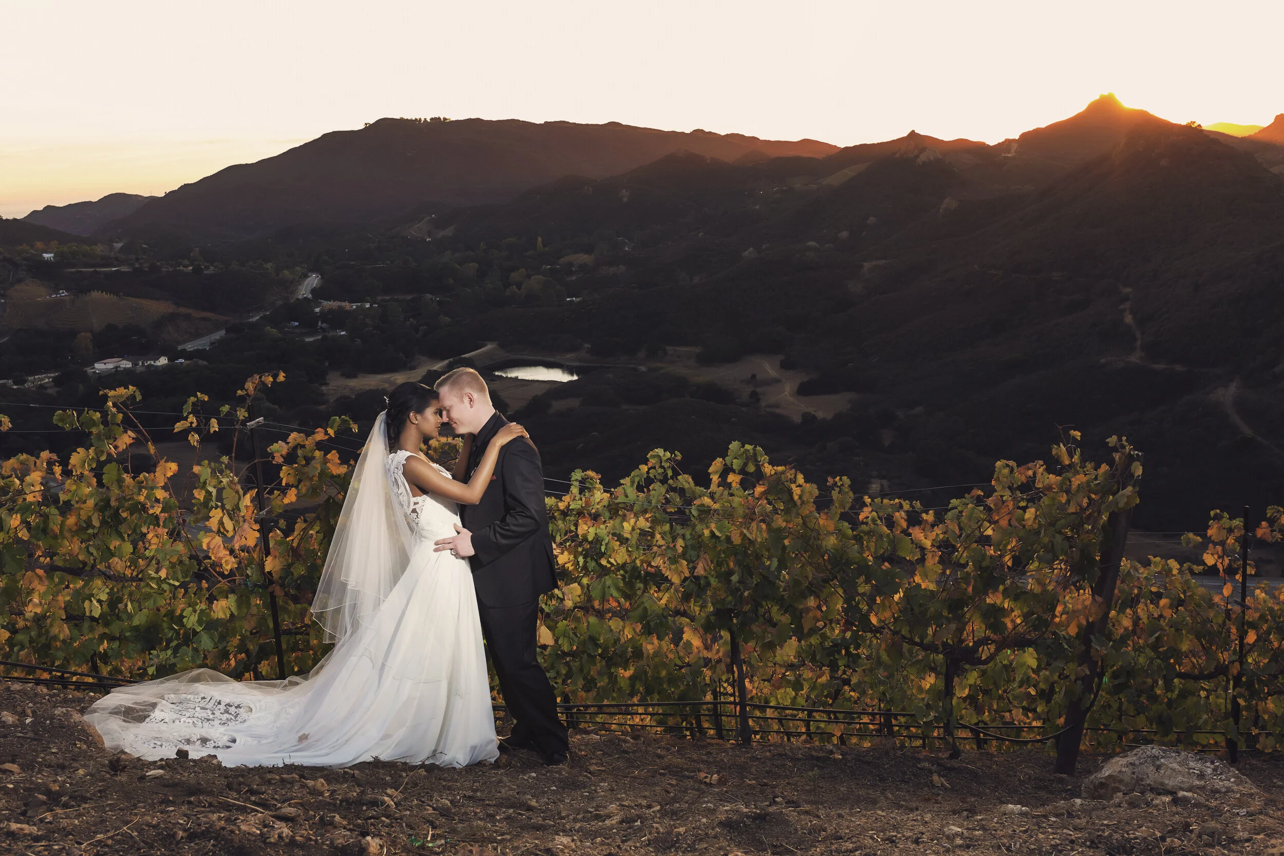 Malibu Rocky Oaks Estate Vineyards Malibu California United States Venue Report