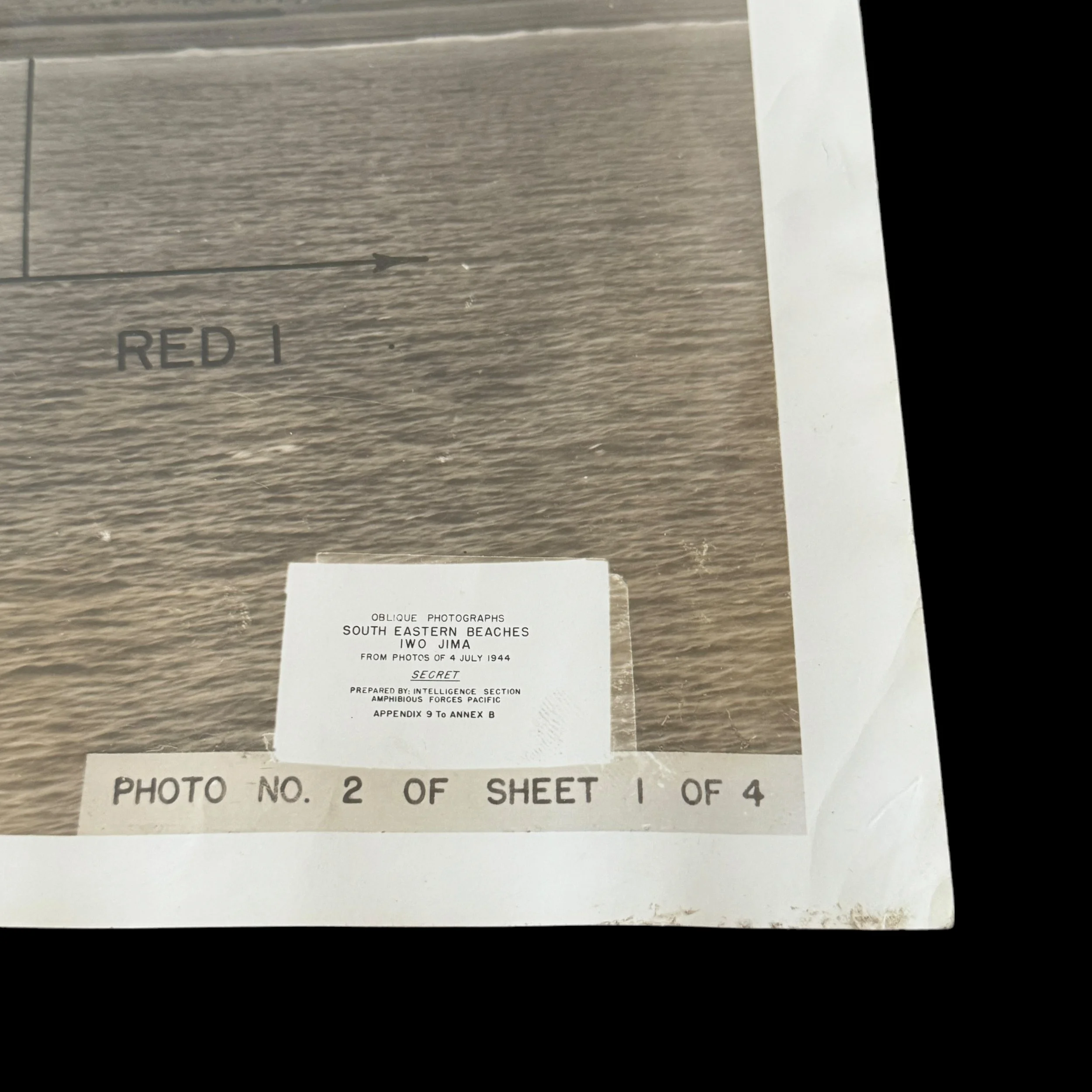 Photoroom_008_20240816_130235.JPG
