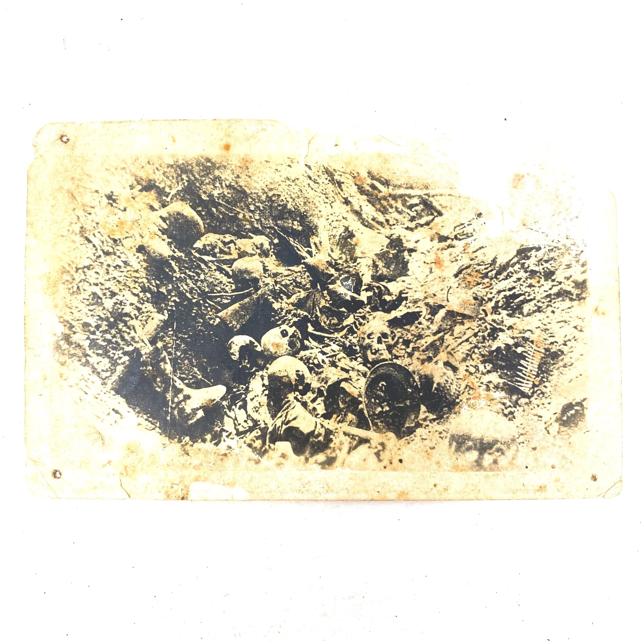 Horrors of War Photograph