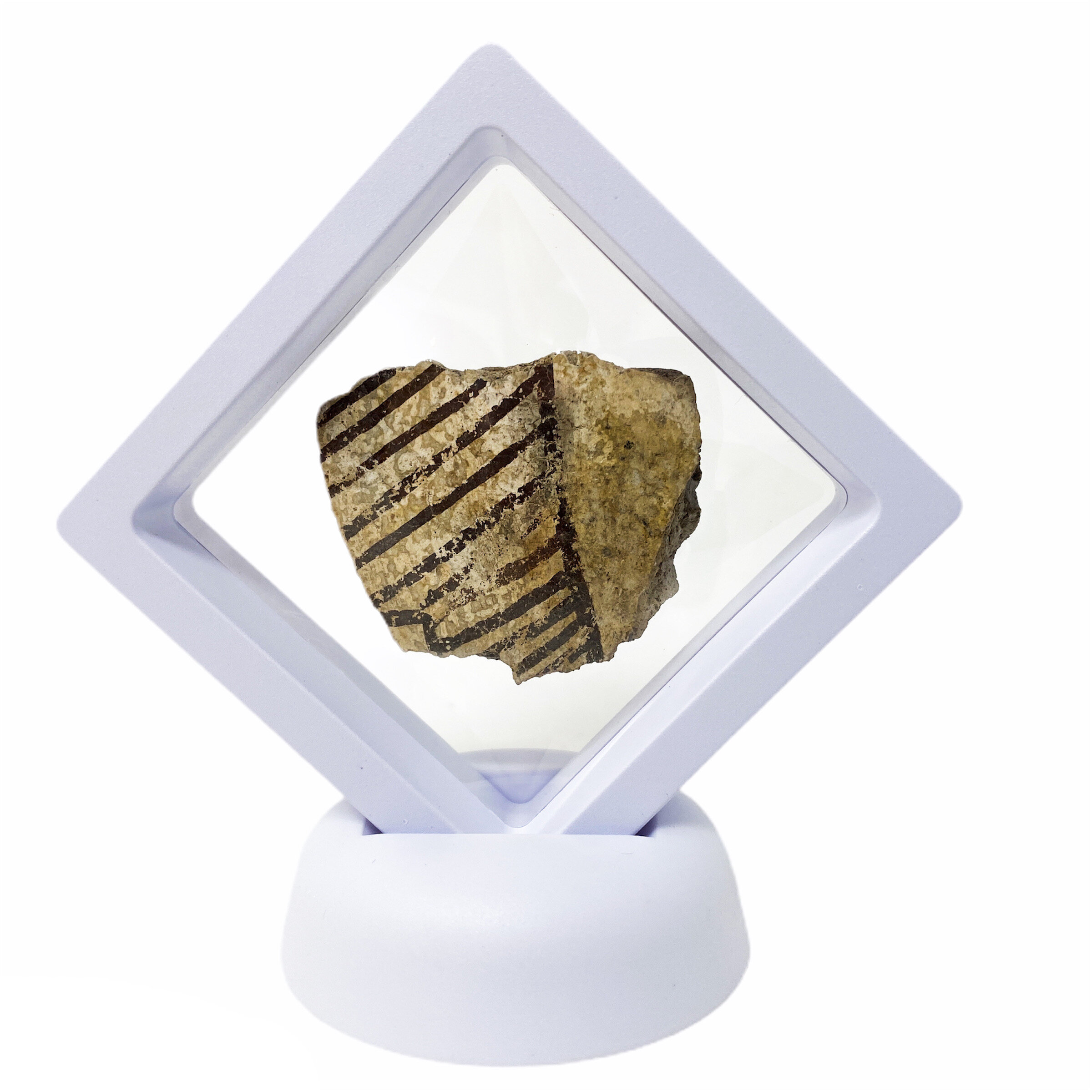 Excavated 'Black and White' Arizona Anasazi Pottery Shard (with C.O.A)