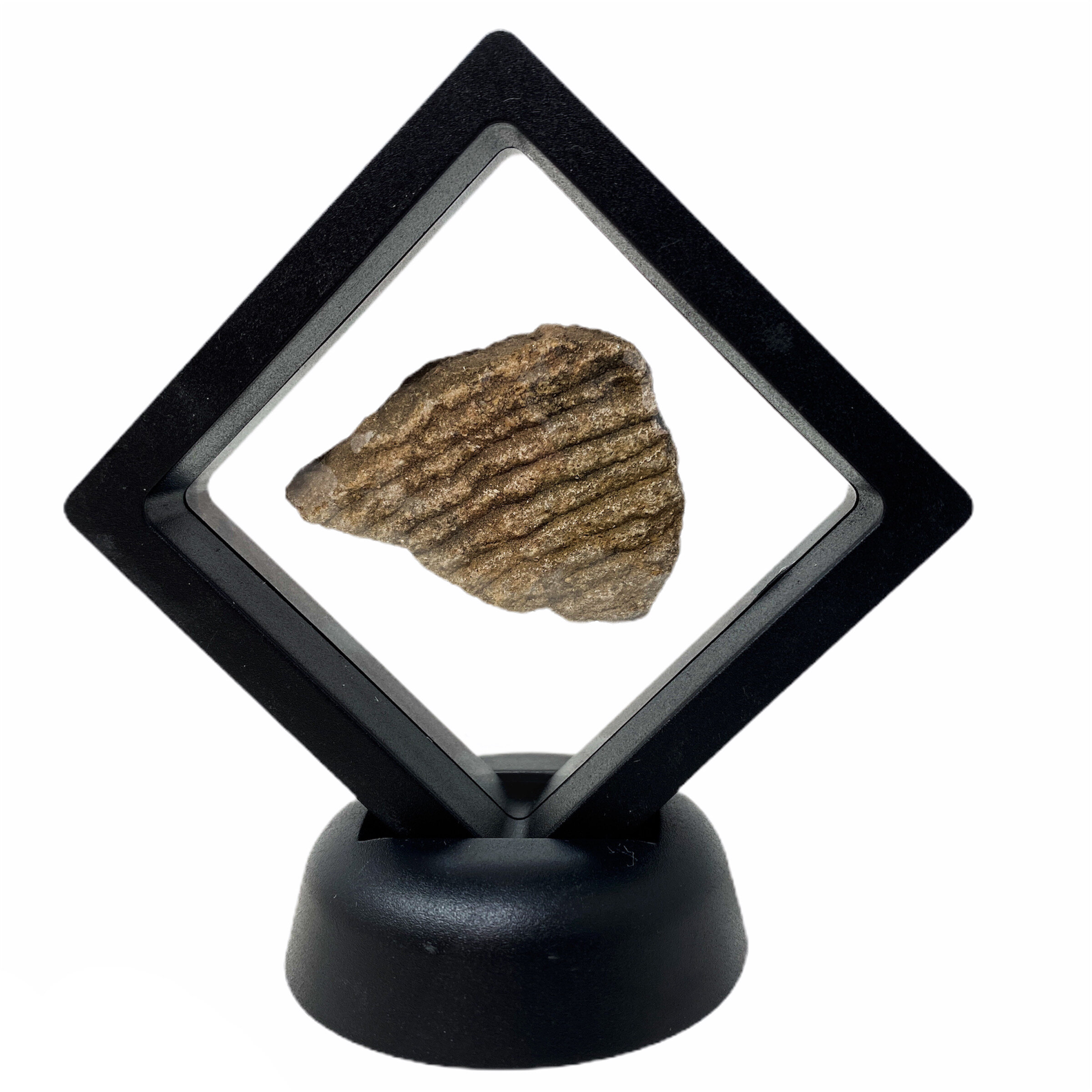 Excavated 'Etched-Coil Design' Arizona Anasazi Pottery Shard (with C.O.A)