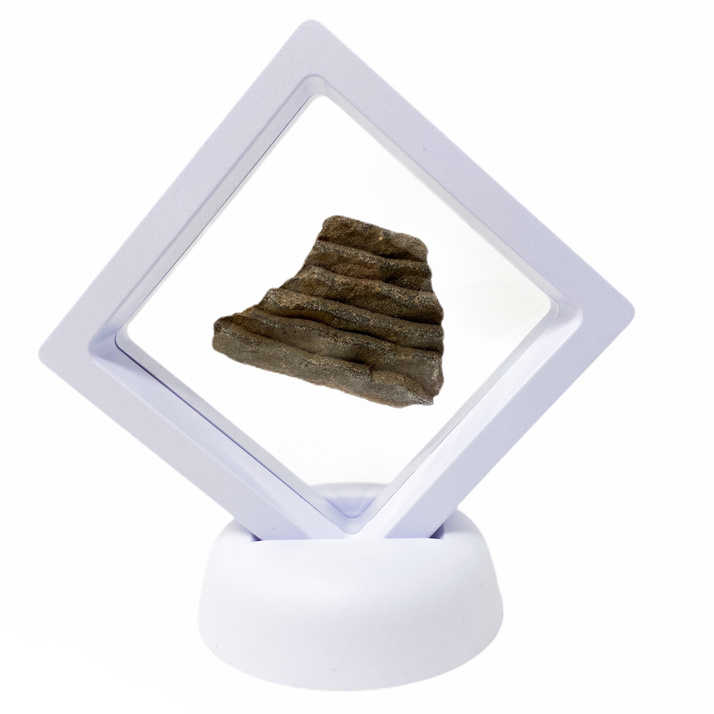 Excavated 'Etched-Coil Design' Arizona Anasazi Pottery Shard (with C.O.A)