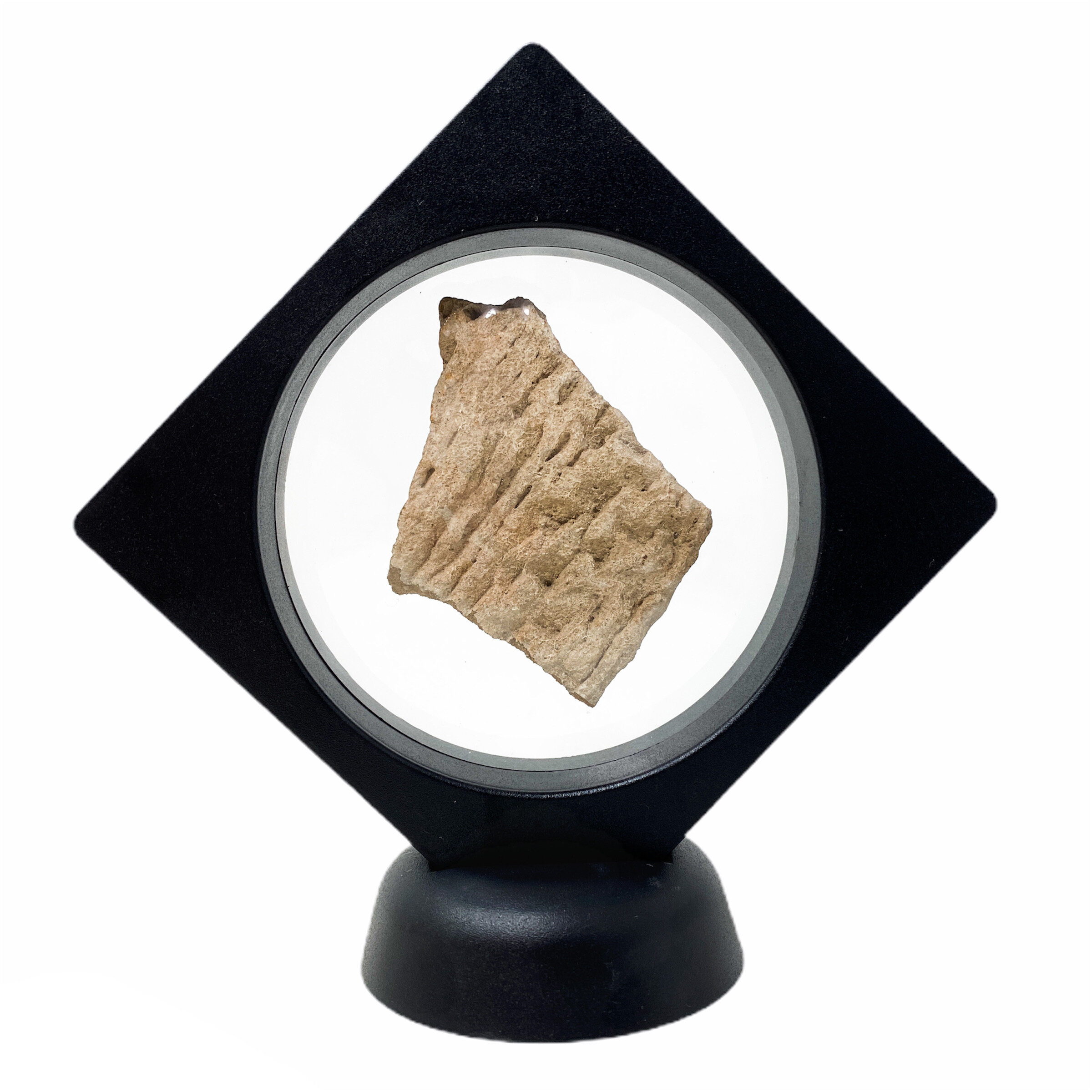 Excavated 'Etched-Coil Design' Arizona Anasazi Pottery Shard (with C.O.A)