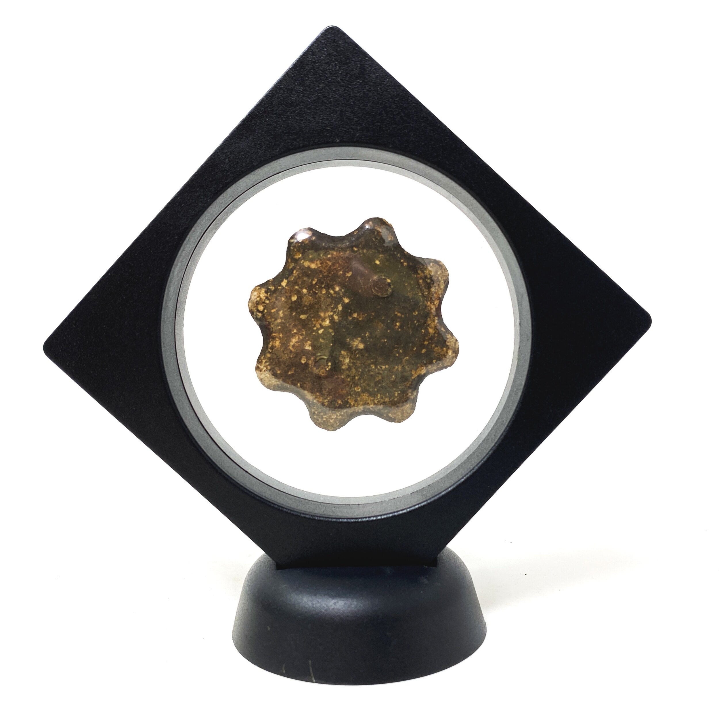 WWI Battlefield Dug German Stielhandgranate Model 1917 Grenade Cap (with C.O.A)