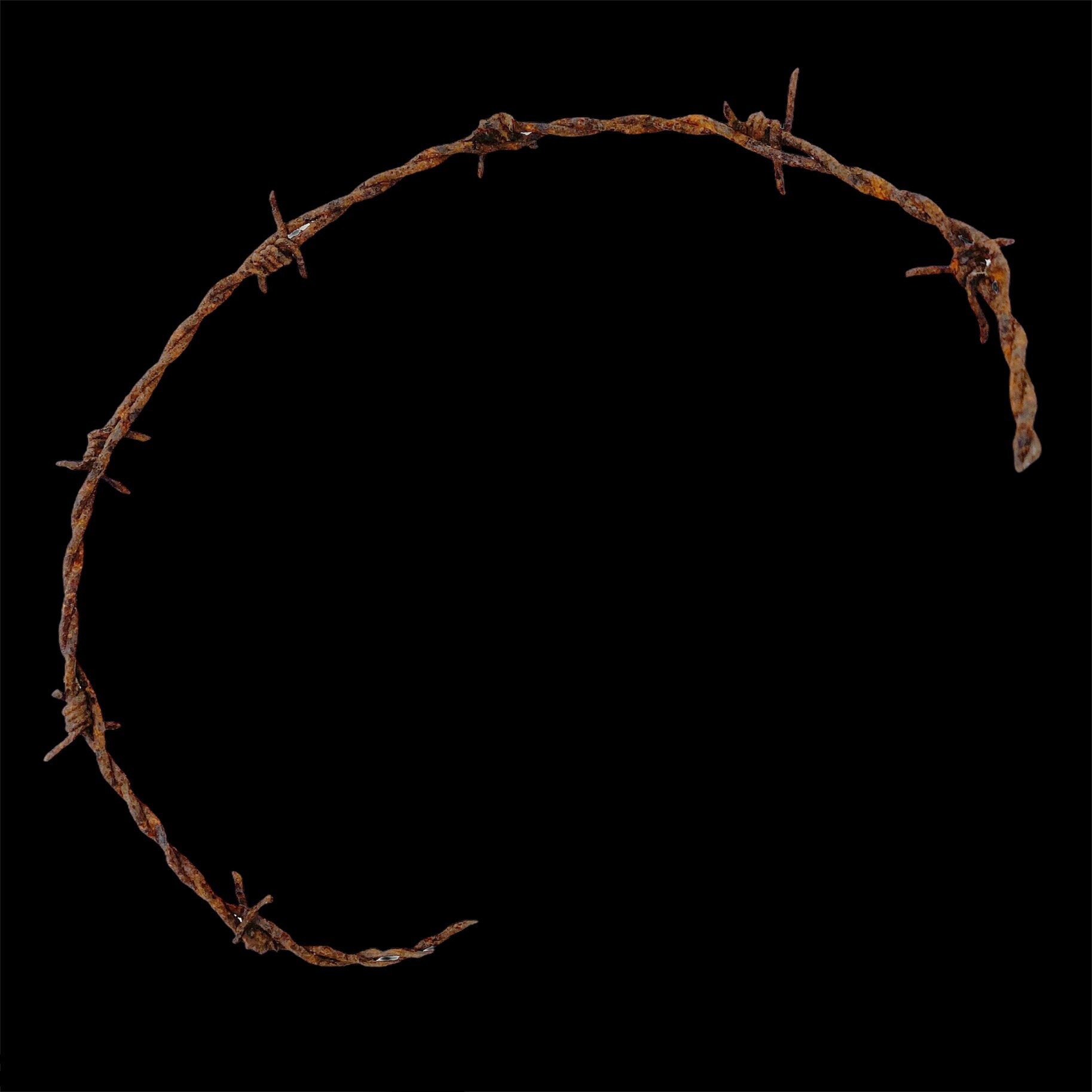 Large Sized Barbed Wire Section - Excavated from the Battle of Verdun Battlefield