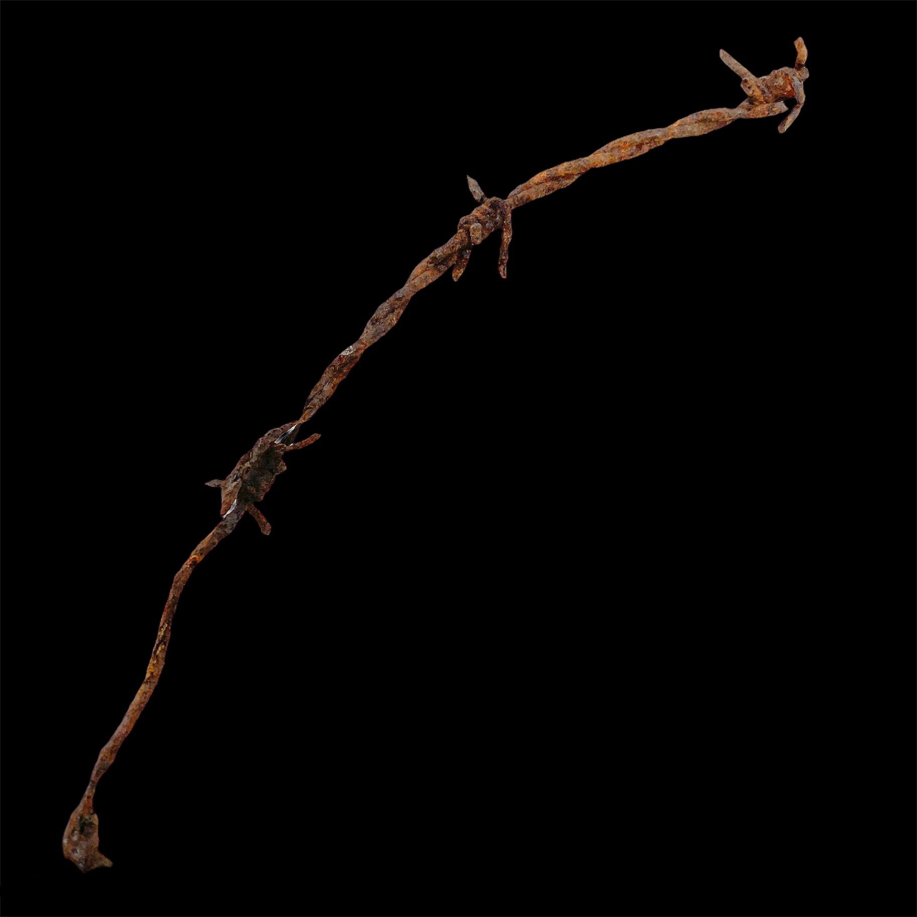 Large Sized Barbed Wire Section - Excavated from the Battle of Verdun Battlefield