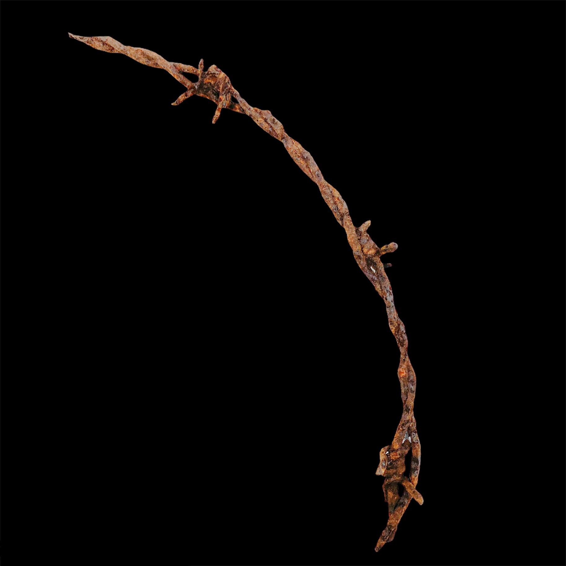 Large Sized Barbed Wire Section - Excavated from the Battle of Verdun Battlefield