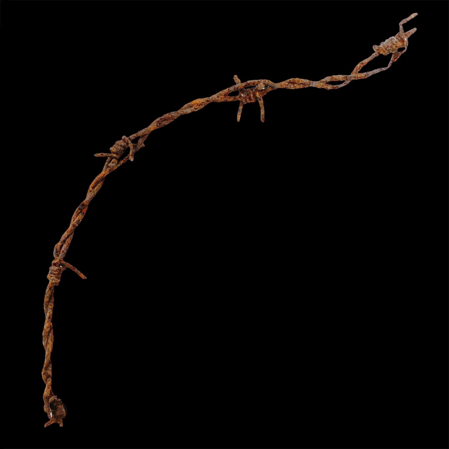 Large Sized Barbed Wire Section - Excavated from the Battle of Verdun Battlefield