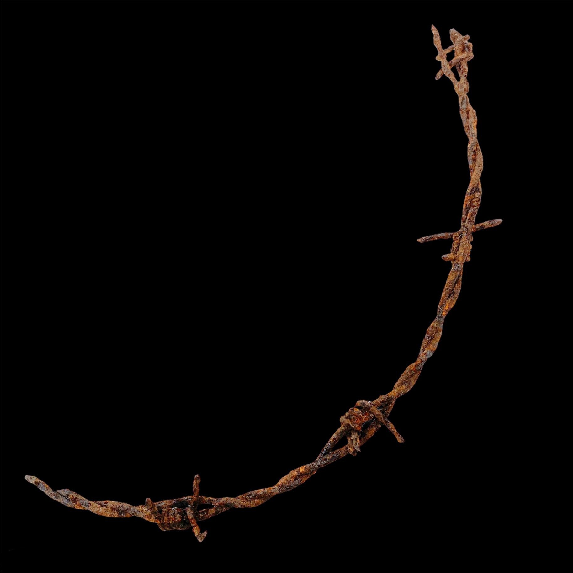 Large Sized Barbed Wire Section - Excavated from the Battle of Verdun Battlefield