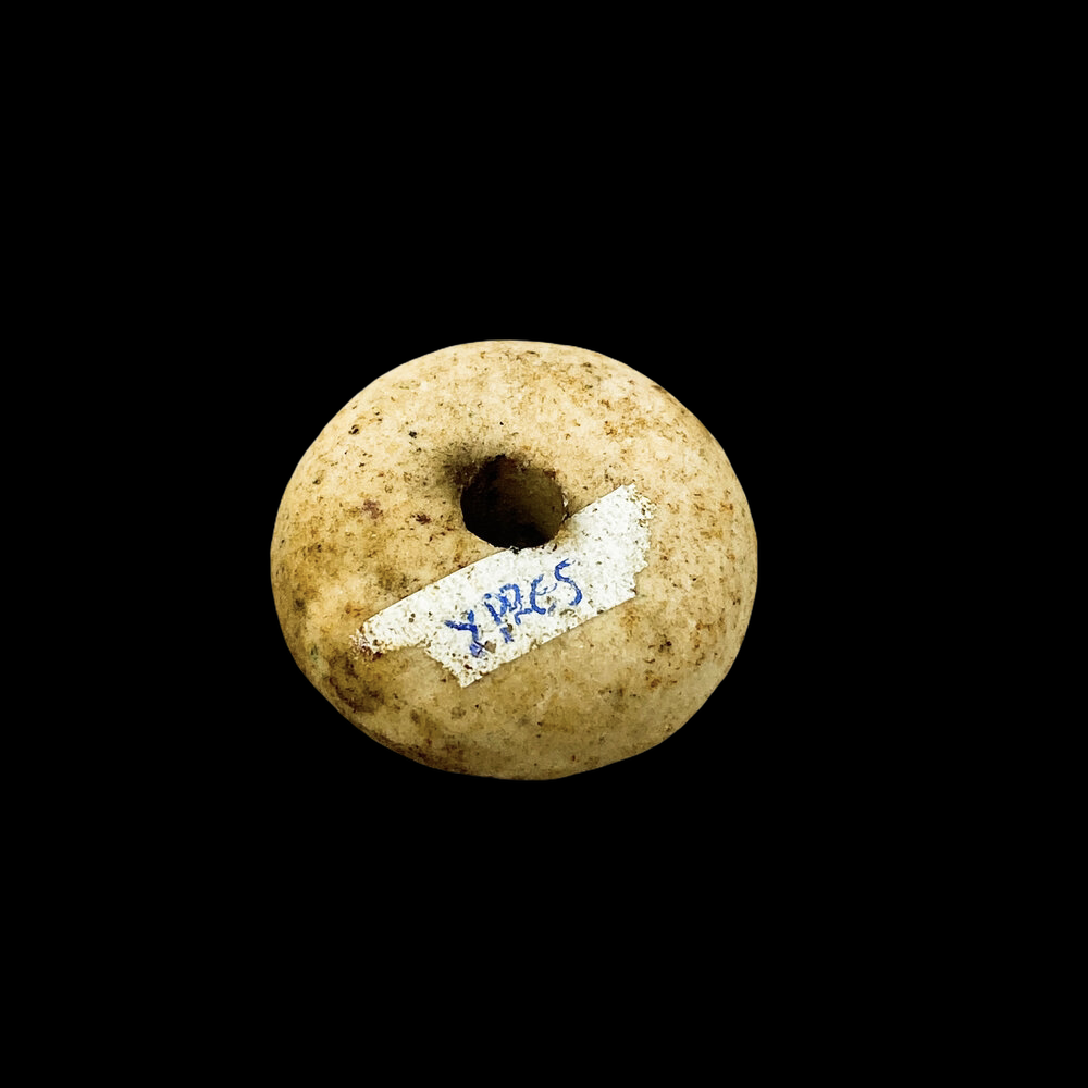 PhotoRoom_20210112_223257.PNG
