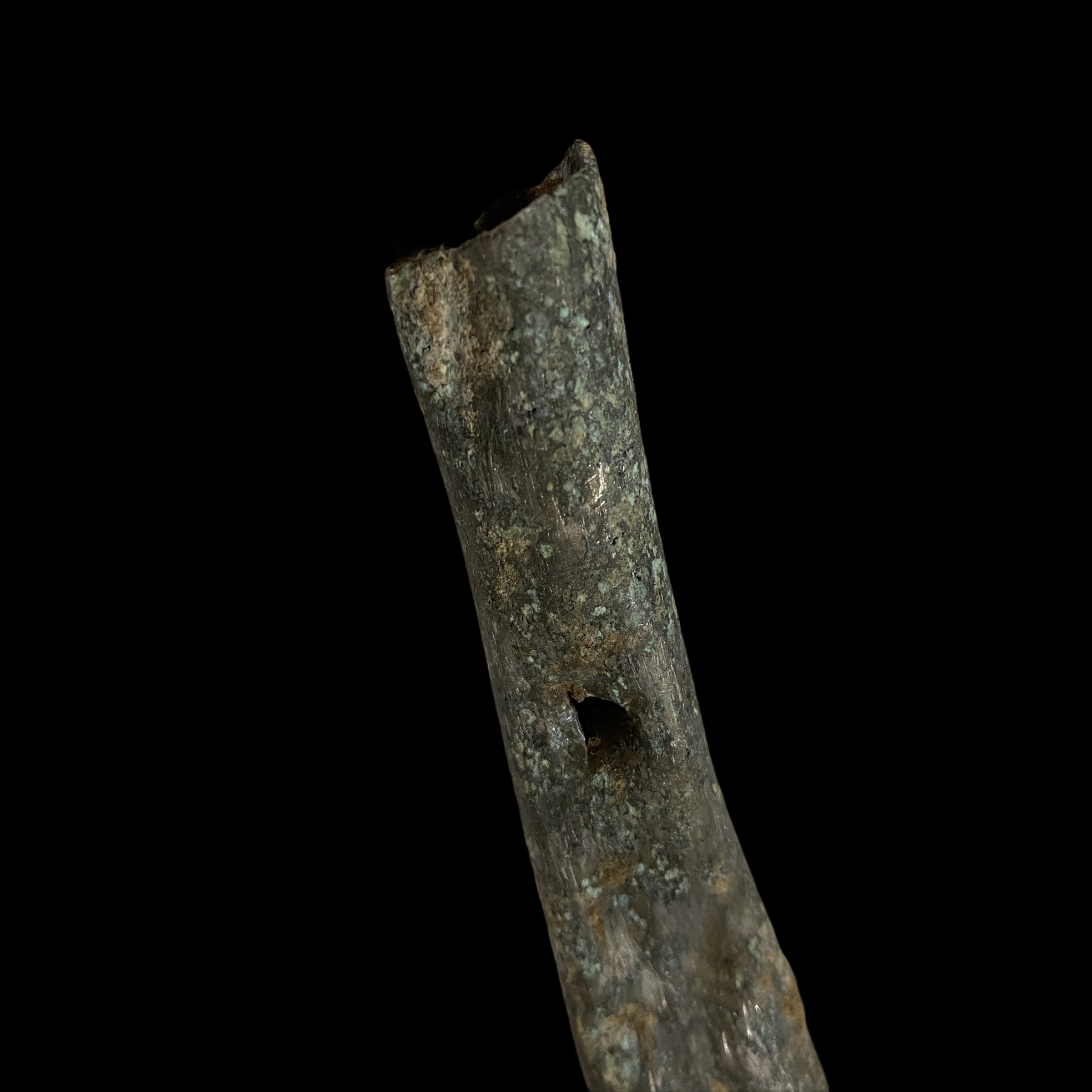 PhotoRoom_20210214_164050.png