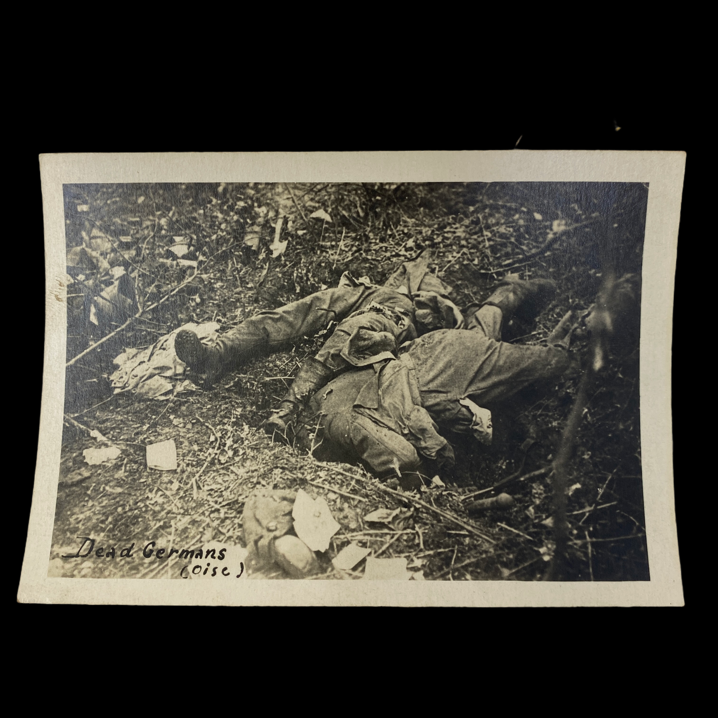 PhotoRoom_20210409_194921 2.PNG