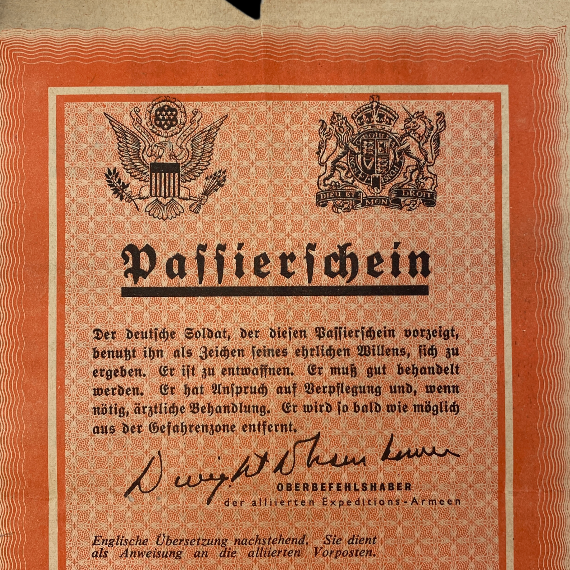 PhotoRoom_20210626_141235 2.PNG