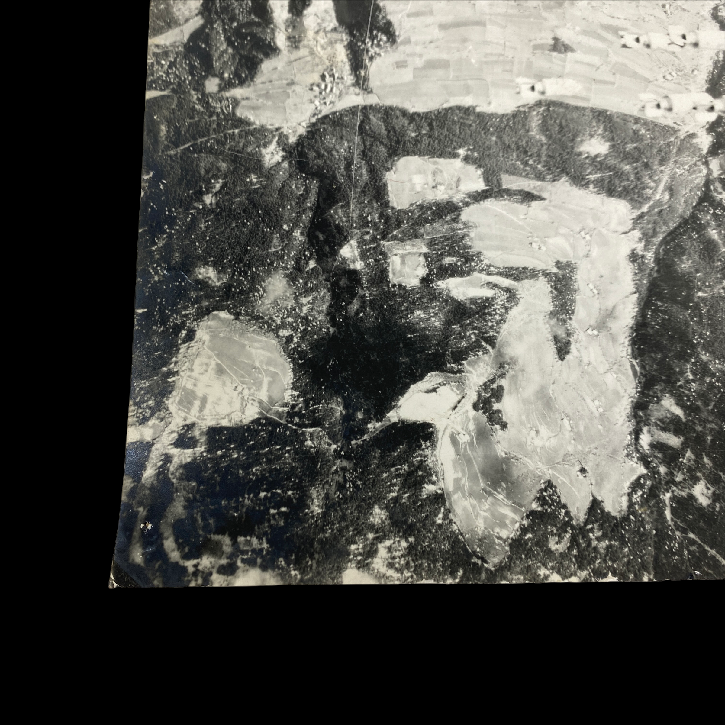 PhotoRoom_20211209_211529 2.PNG