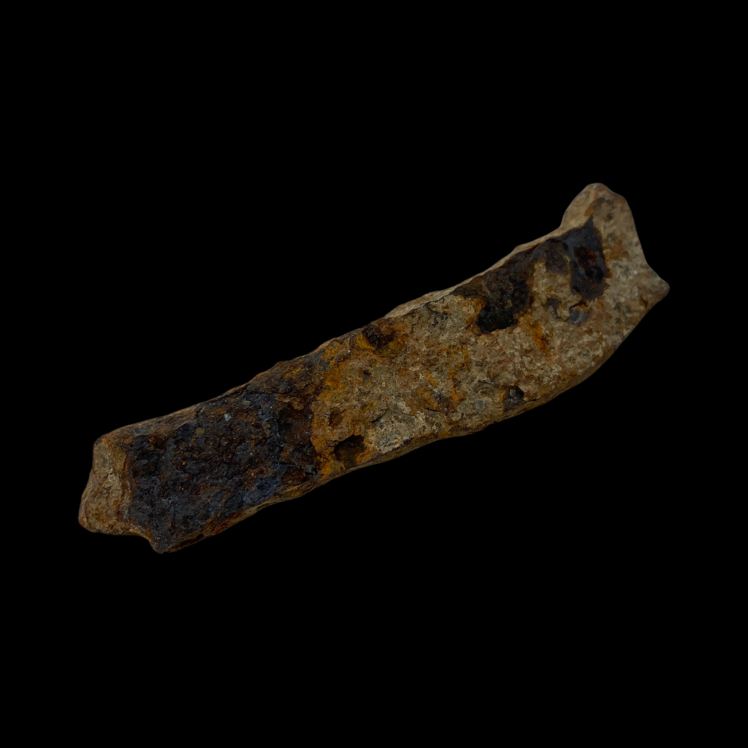 PhotoRoom_20211213_222804.PNG