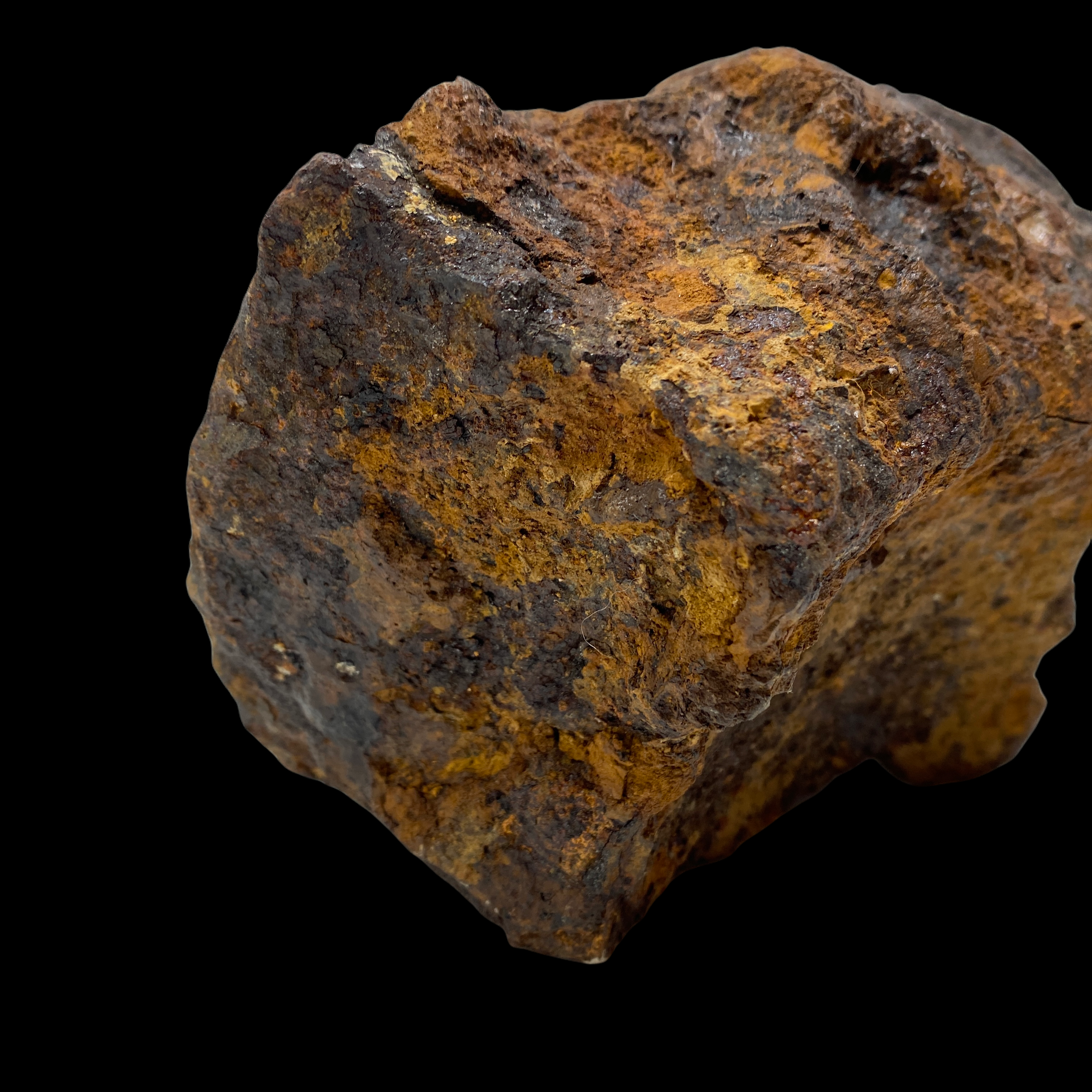 PhotoRoom_20211213_223036.PNG