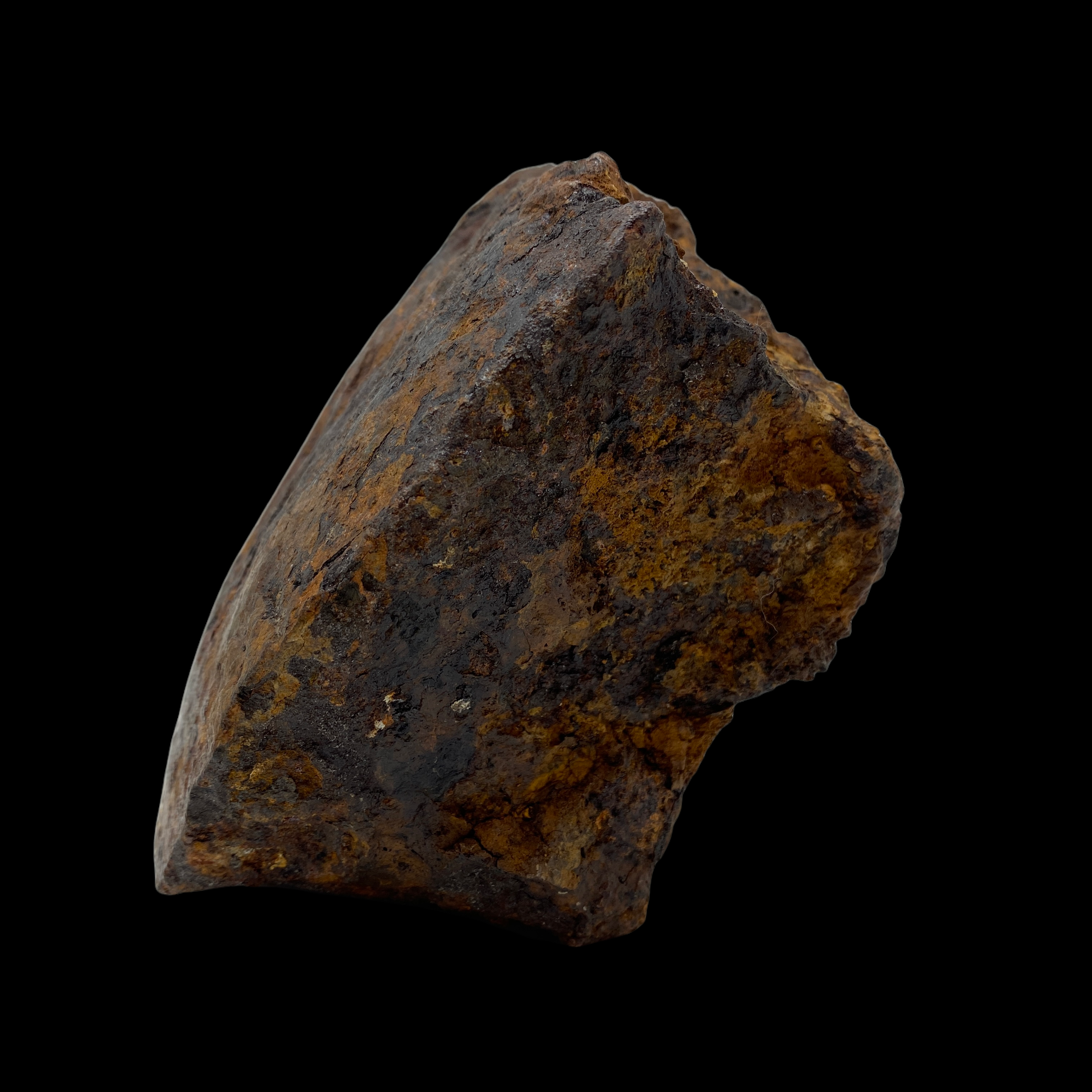 PhotoRoom_20211213_223047.PNG