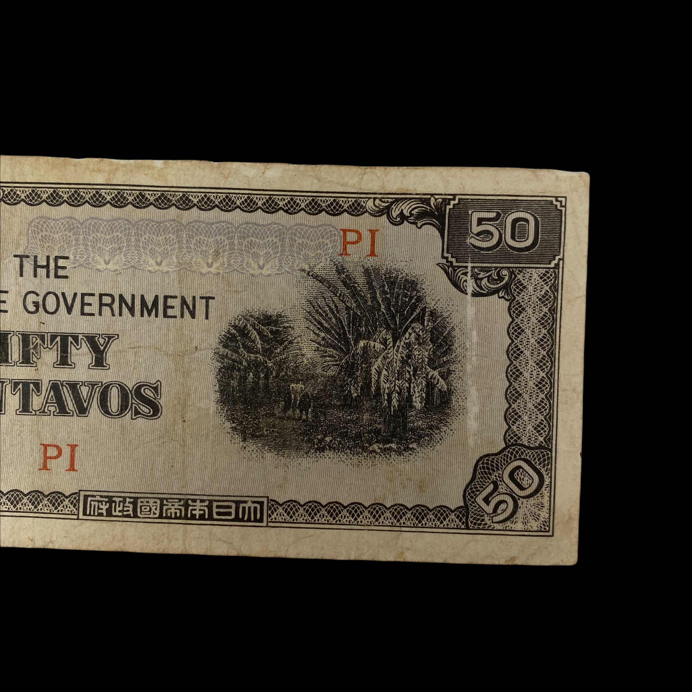 PhotoRoom_20211215_204156 2.PNG