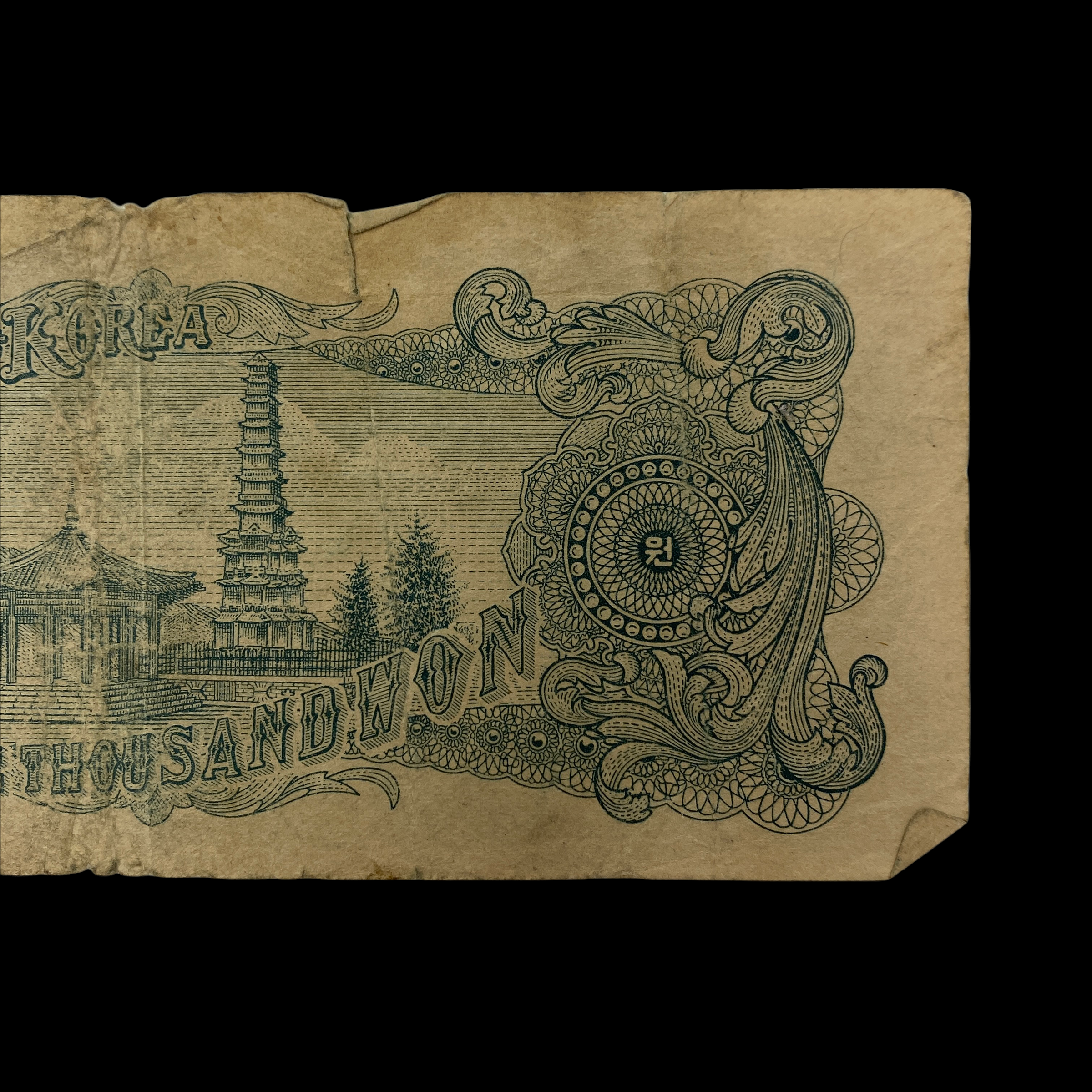 PhotoRoom_20211215_204206 2.PNG