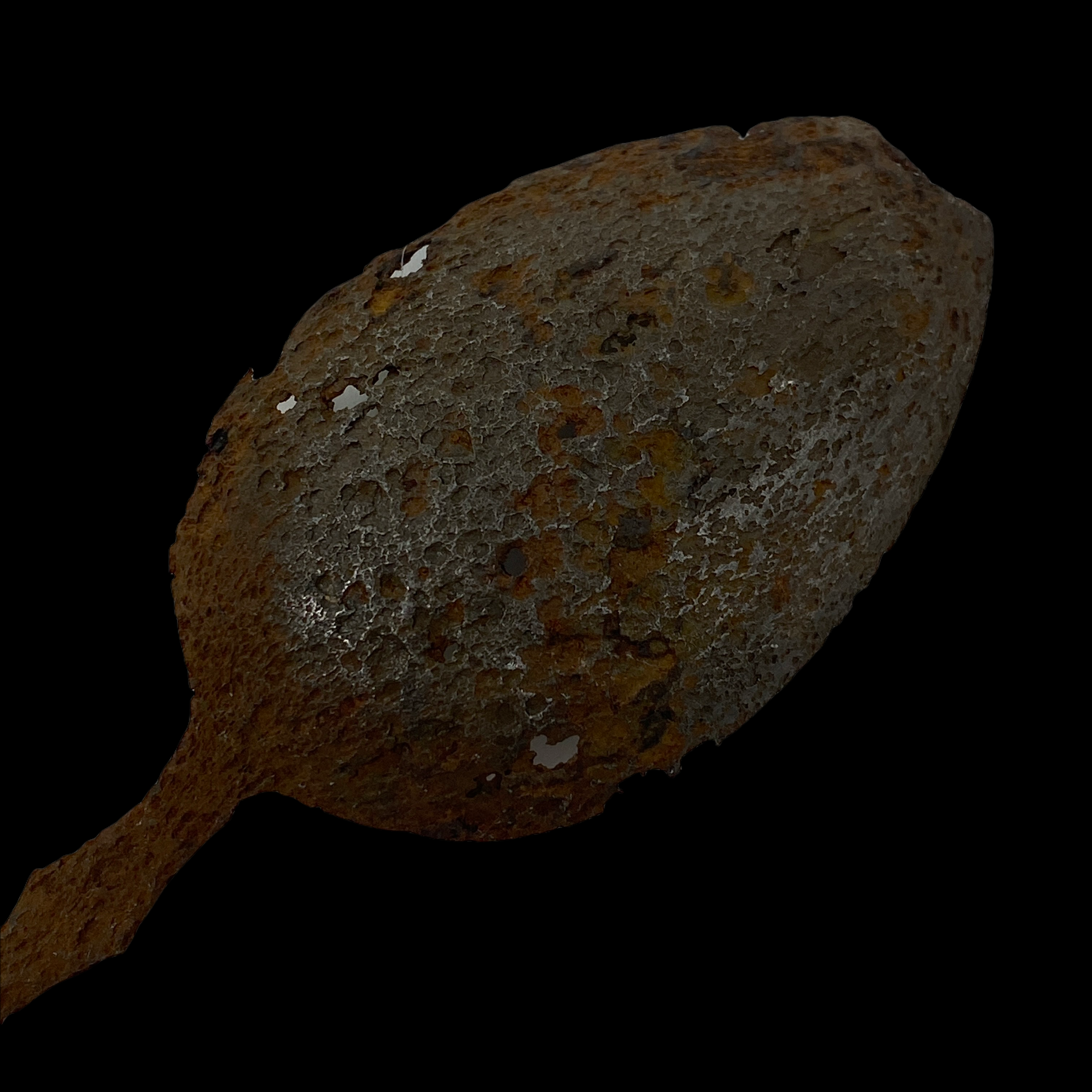 PhotoRoom_20211215_204300 2.PNG