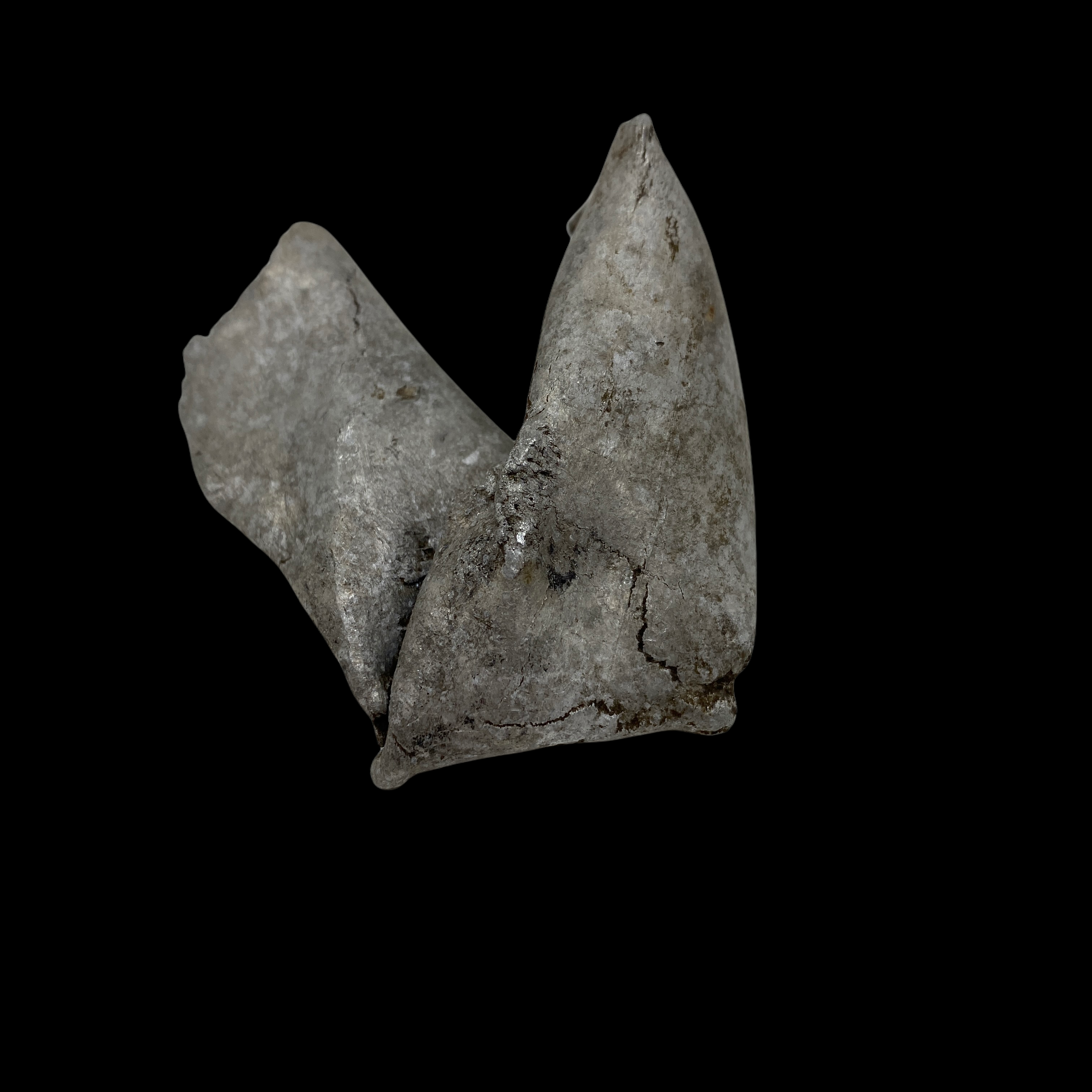 PhotoRoom_20220106_163908.PNG