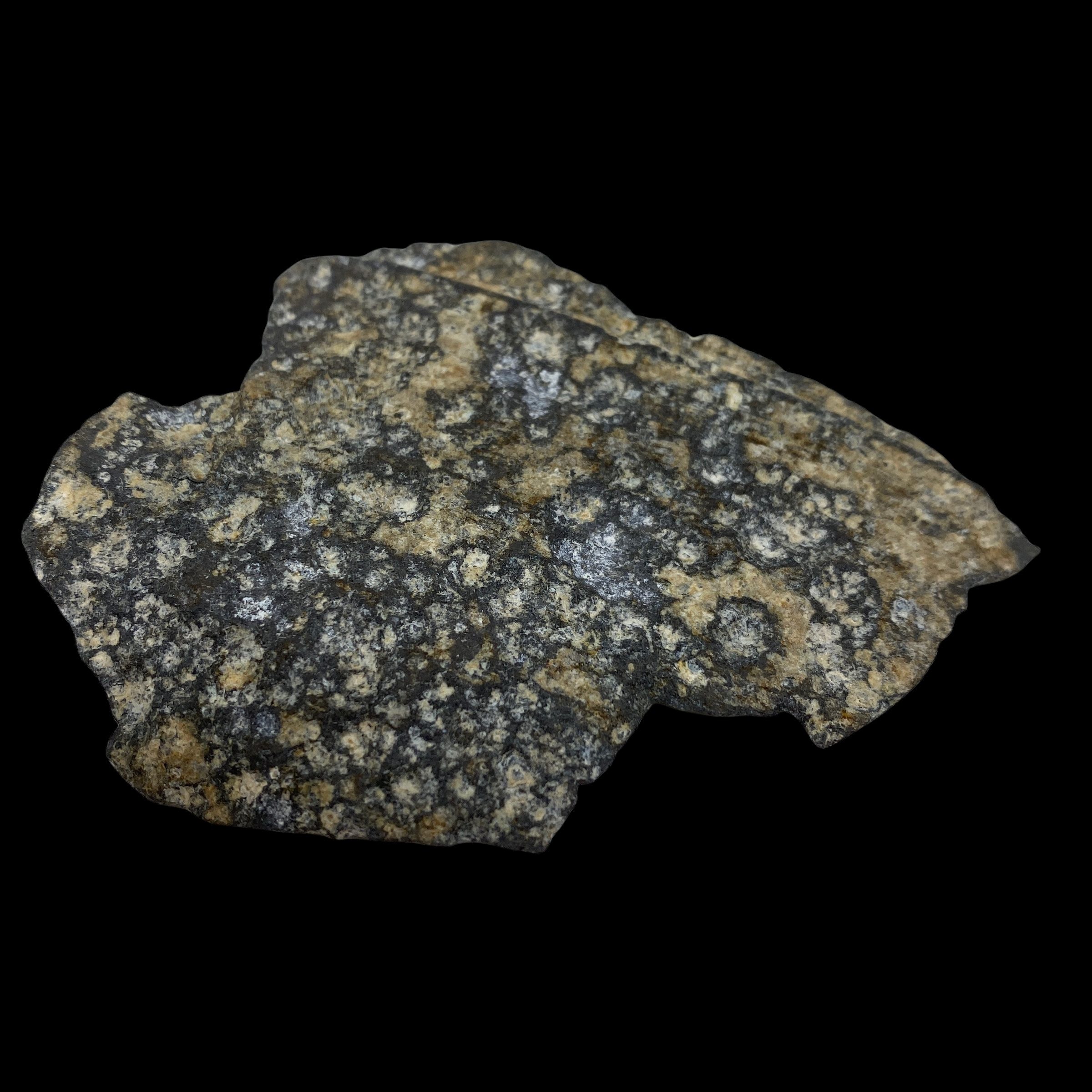 PhotoRoom_20220107_092014 2.PNG