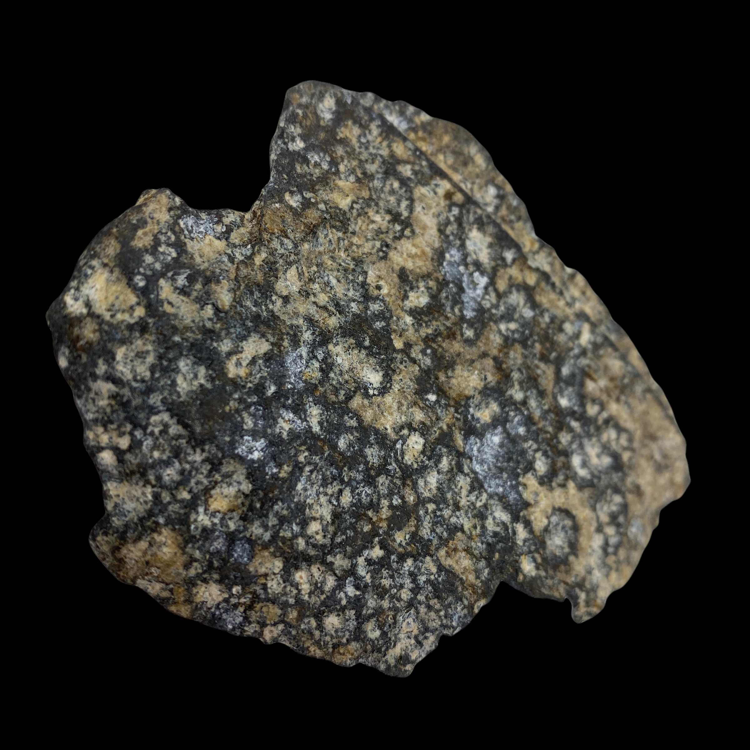 PhotoRoom_20220107_092015.PNG