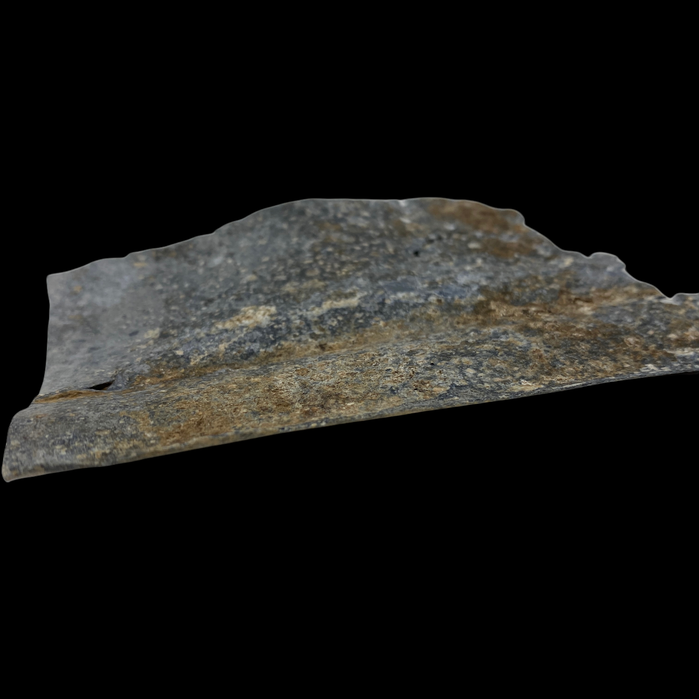 PhotoRoom_20220107_100051 2.PNG