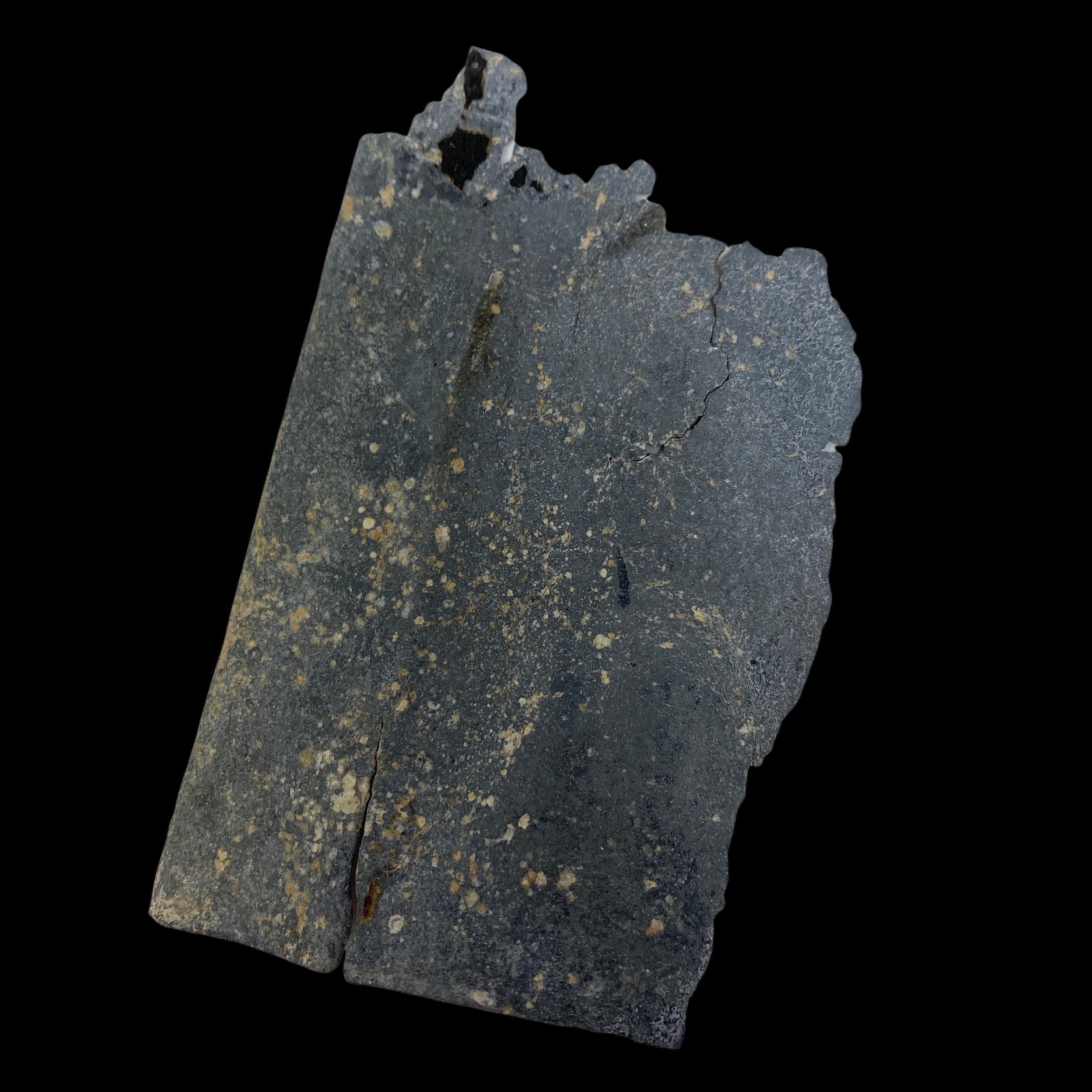 PhotoRoom_20220107_100103.PNG