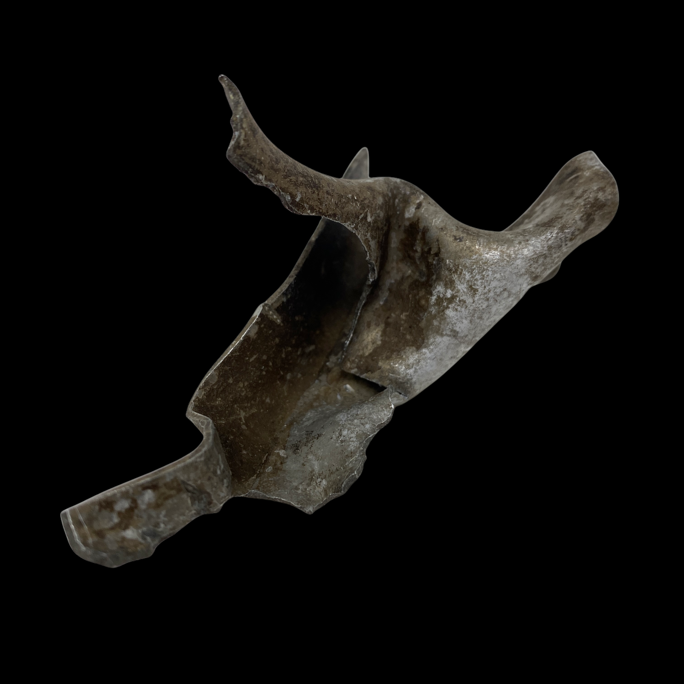 PhotoRoom_20220107_100144.PNG