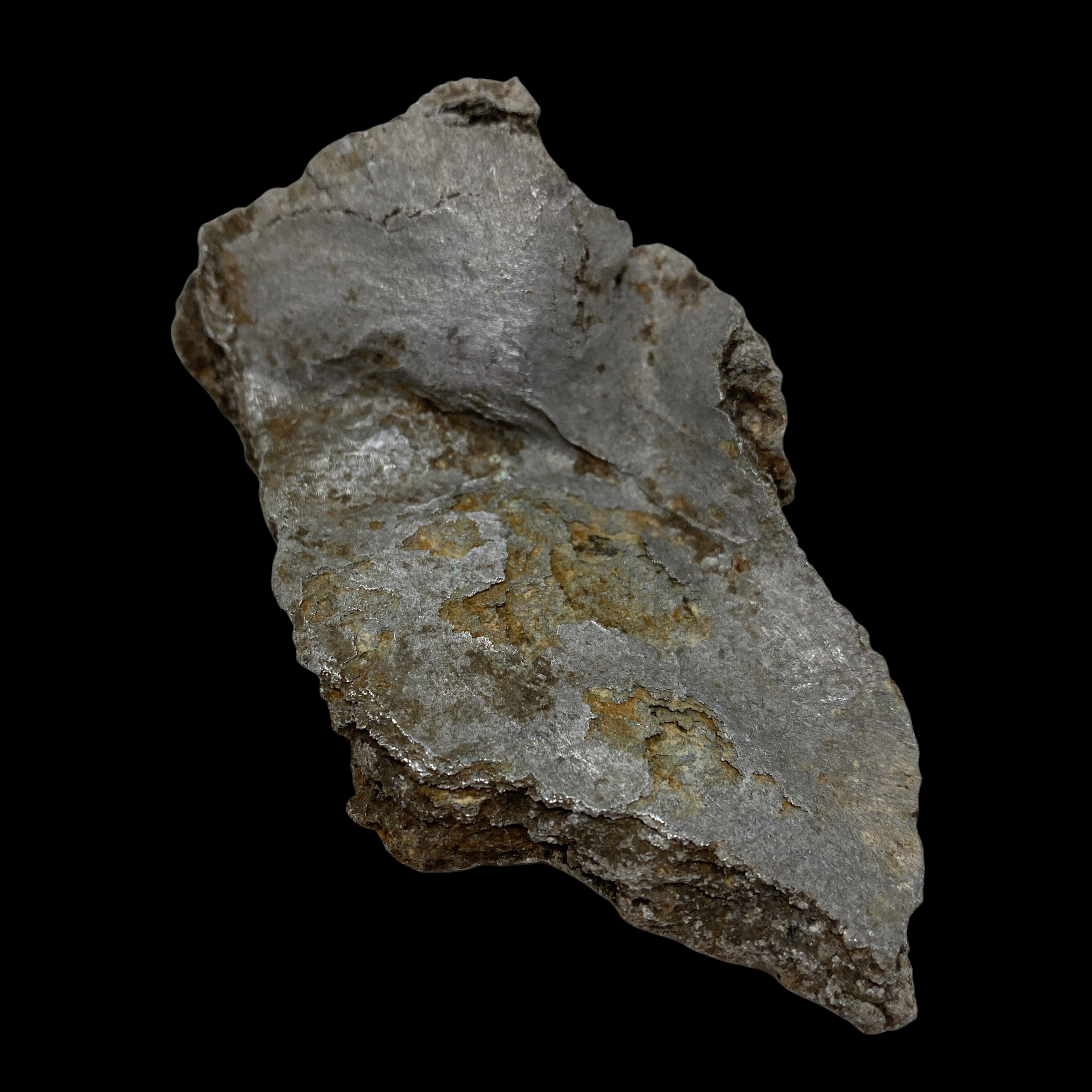 PhotoRoom_20220107_100120.PNG