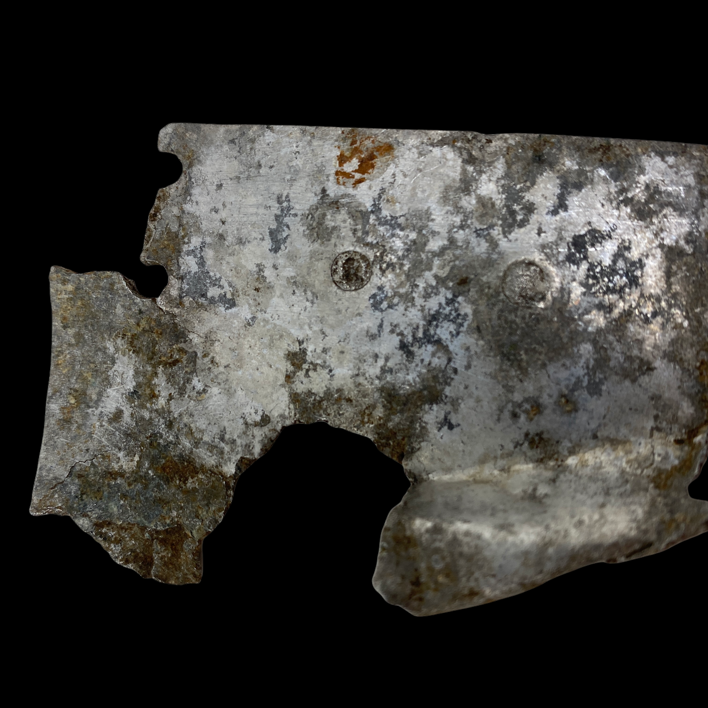 PhotoRoom_20220107_110704.PNG