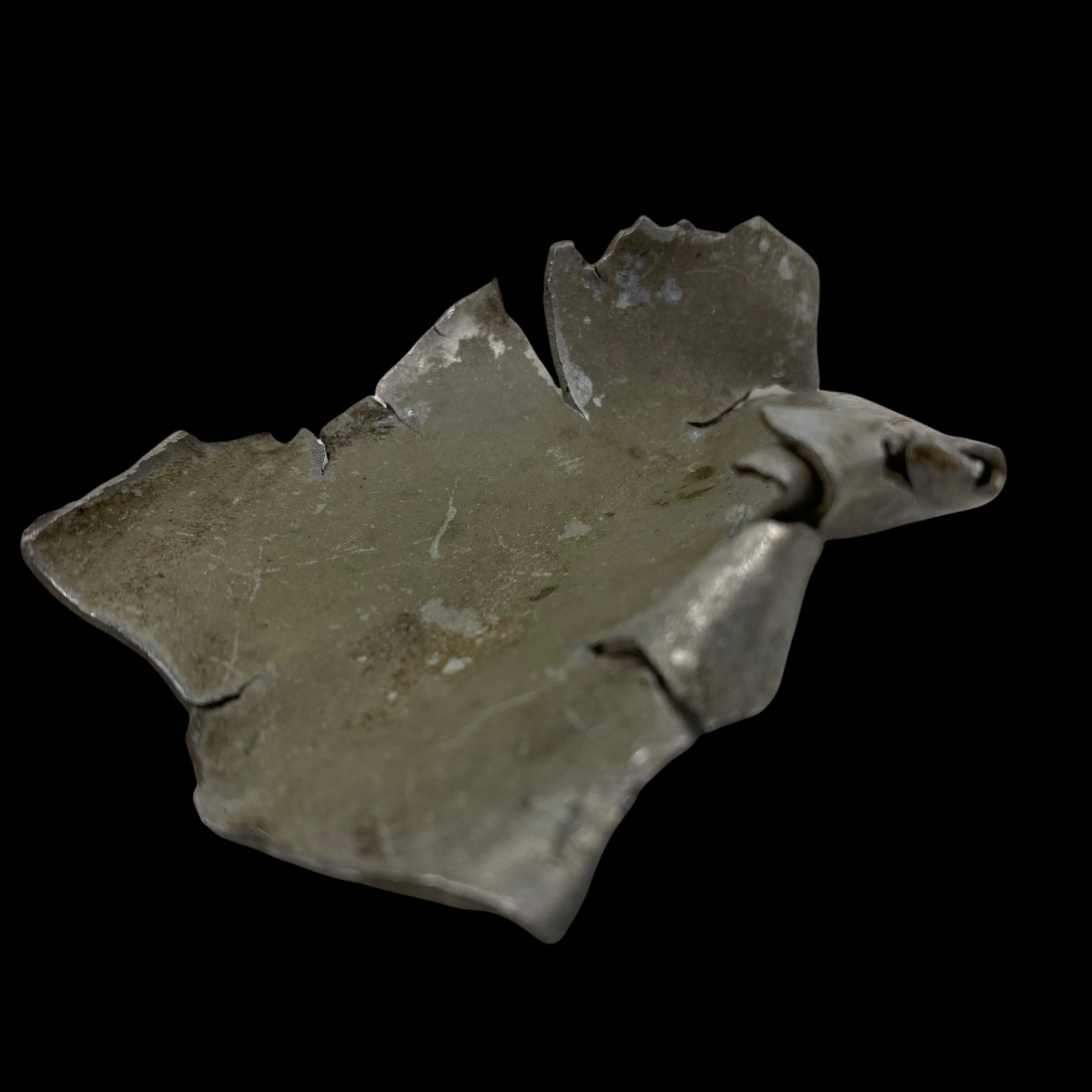PhotoRoom_20220107_110711.PNG