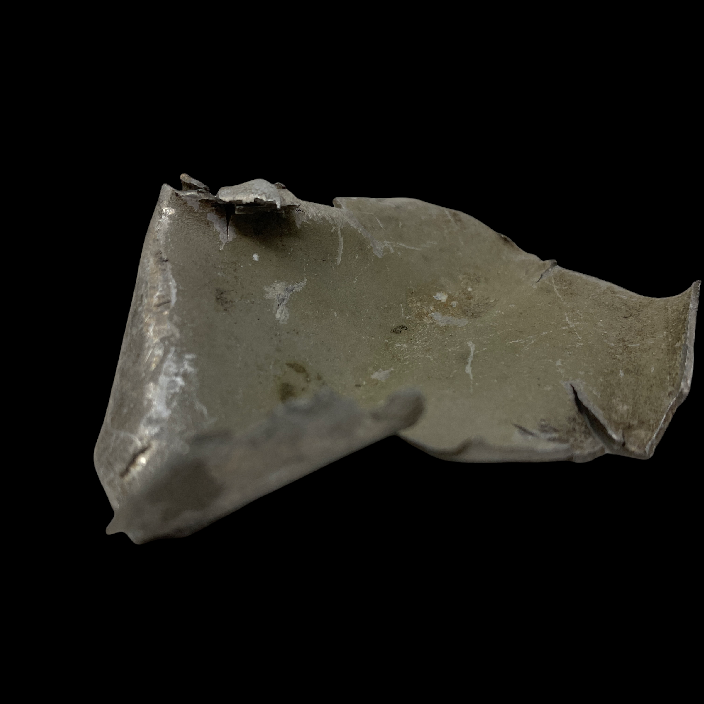 PhotoRoom_20220107_110716.PNG