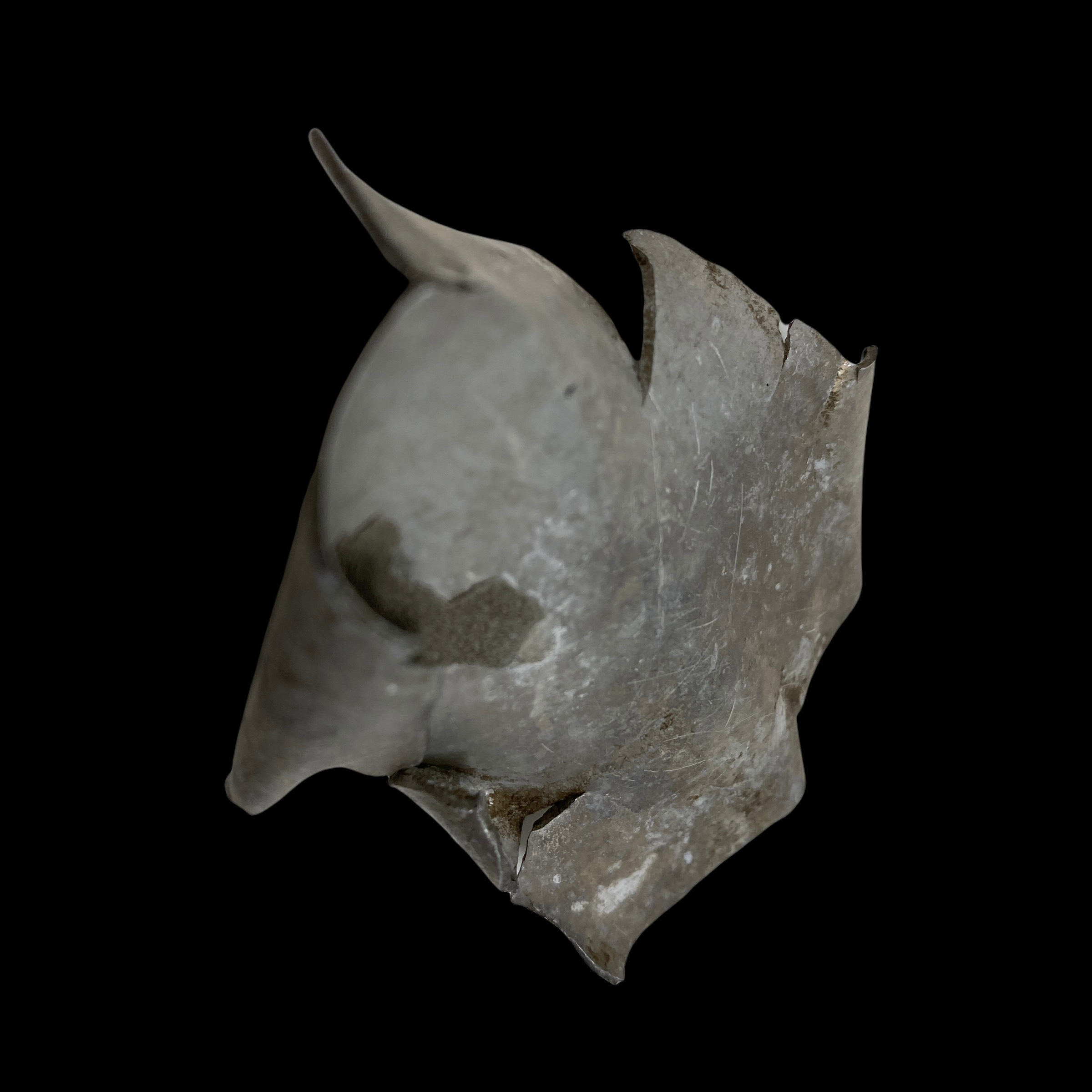 PhotoRoom_20220107_110724.PNG