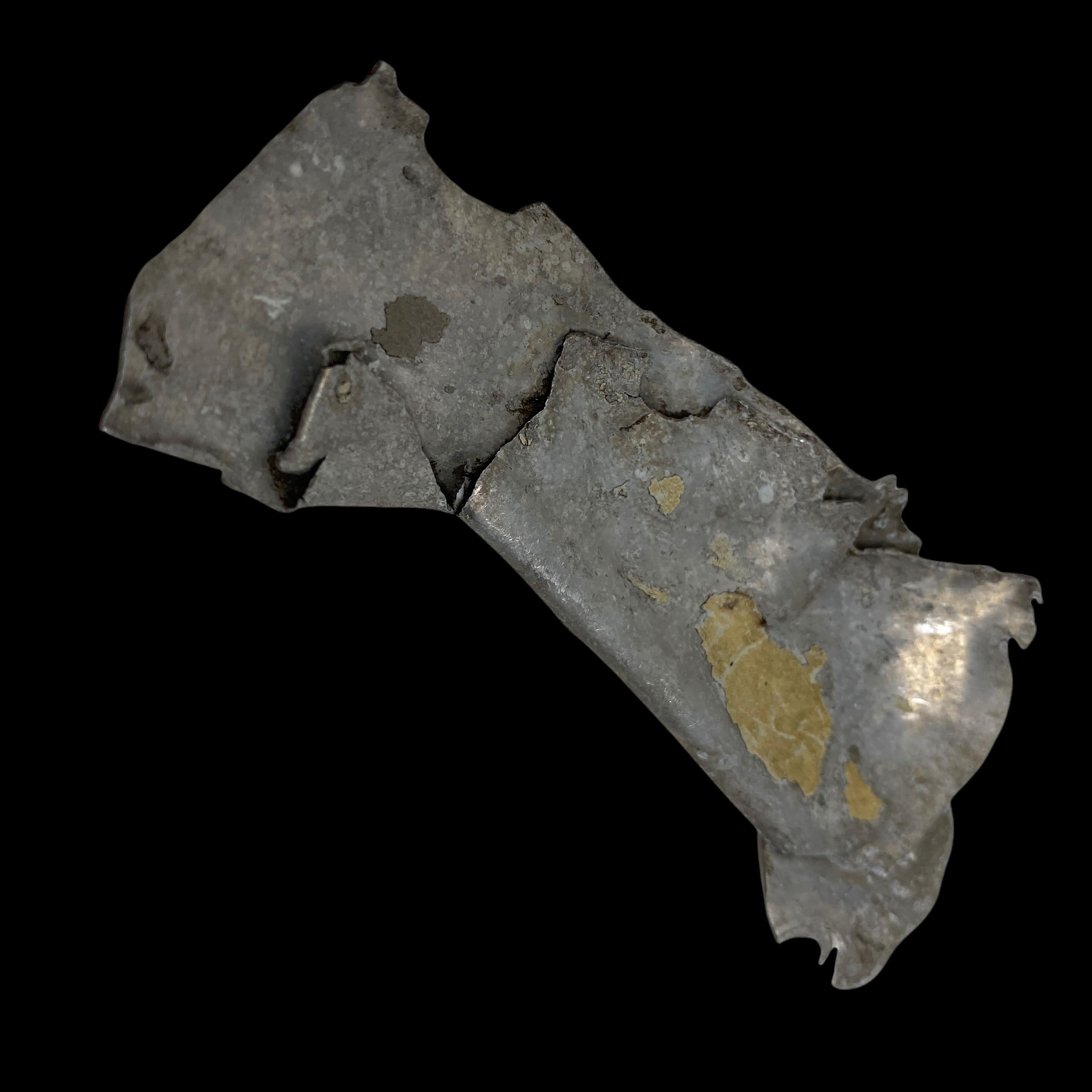 PhotoRoom_20220107_113948 2.PNG