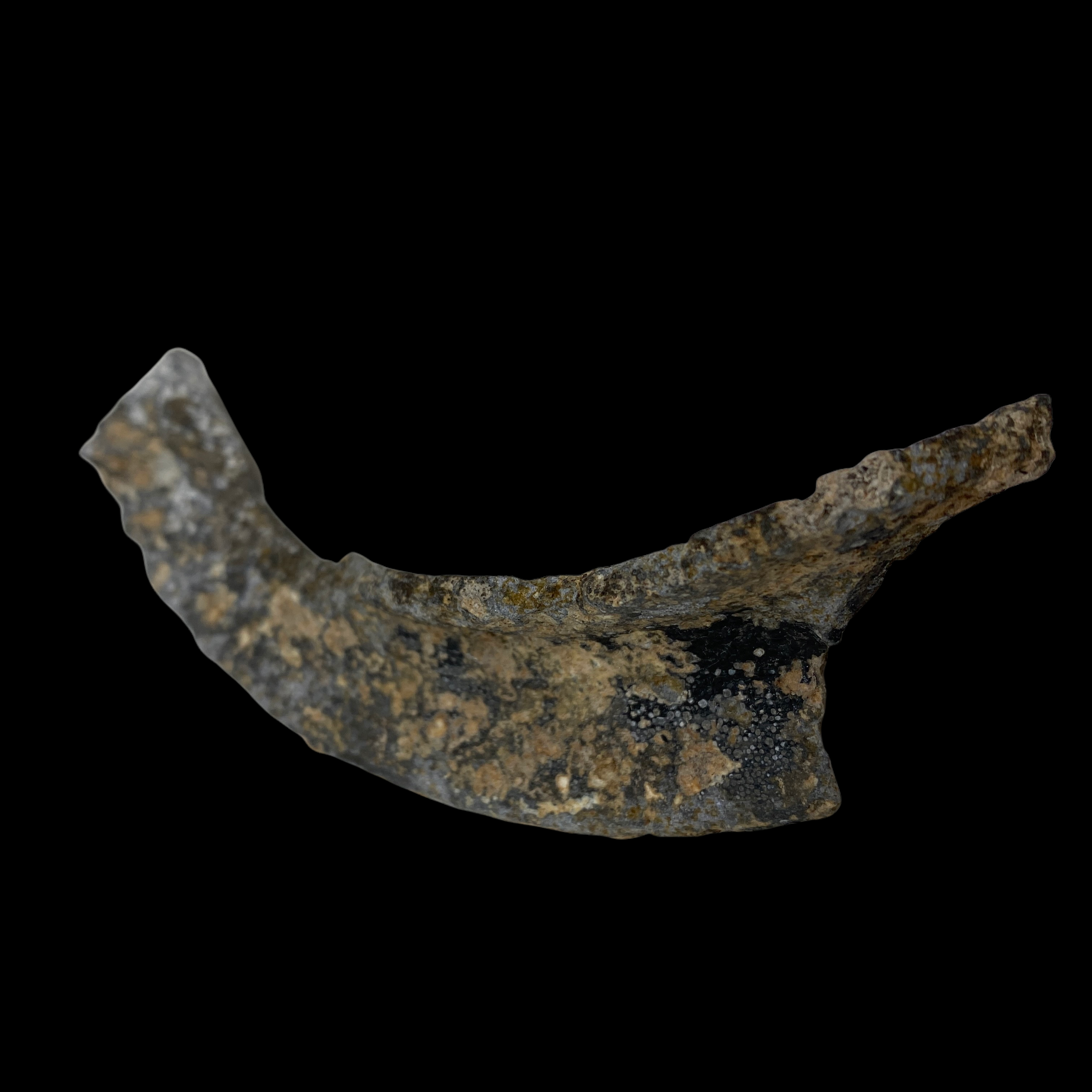 PhotoRoom_20220107_114018.PNG